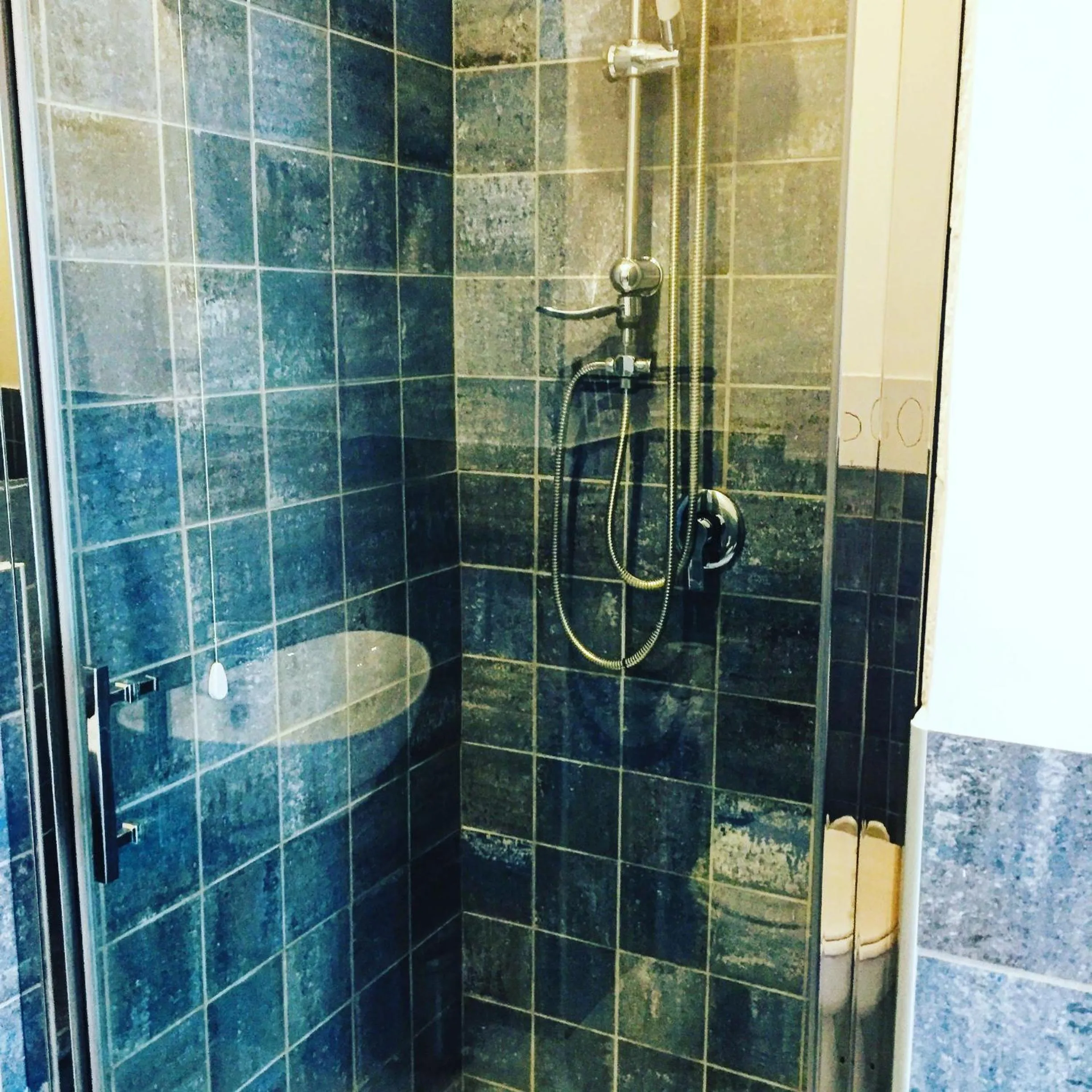 Shower in Domus Alma