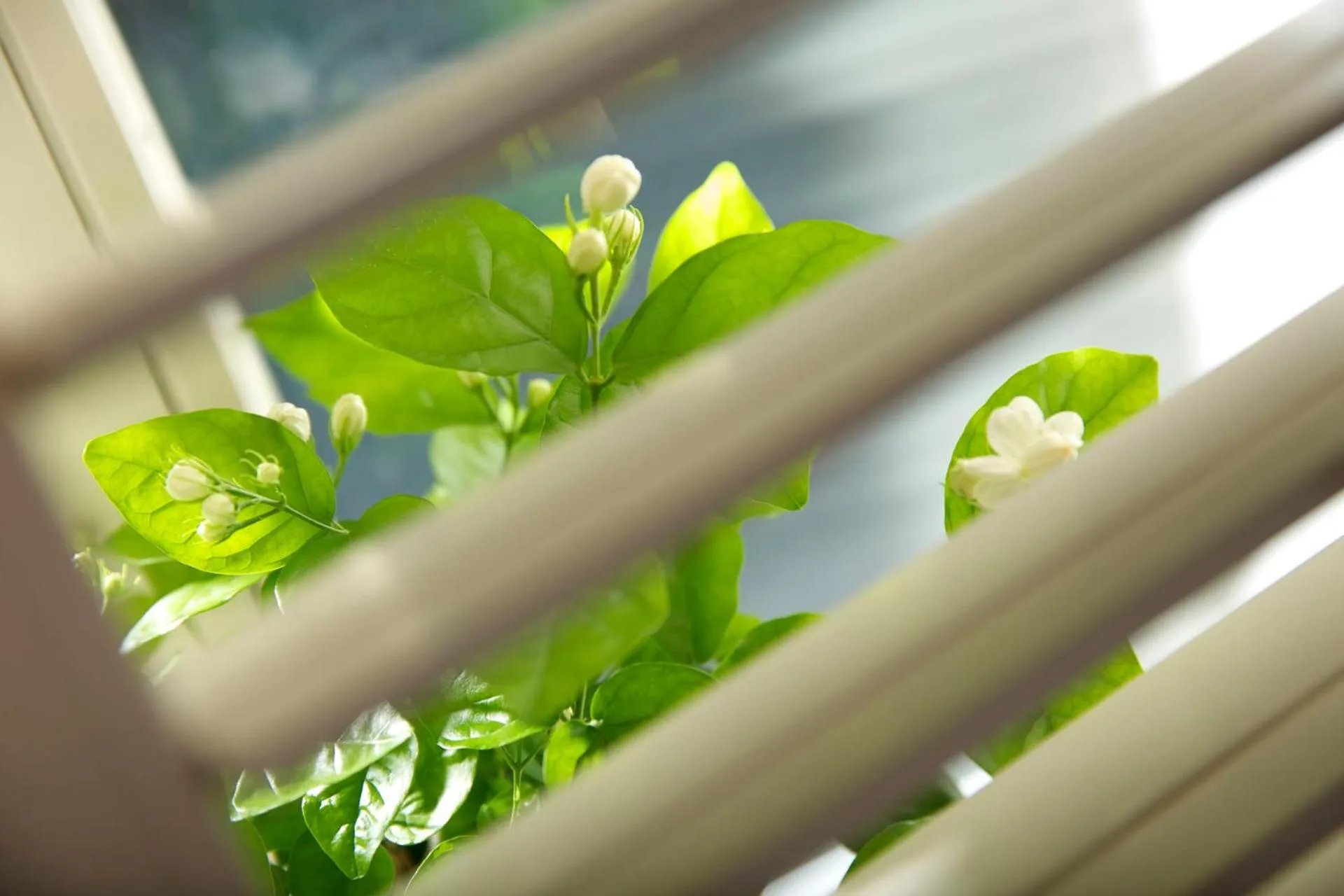 Jinjiang Inn - Chongqing Shopping & Entertainment Center