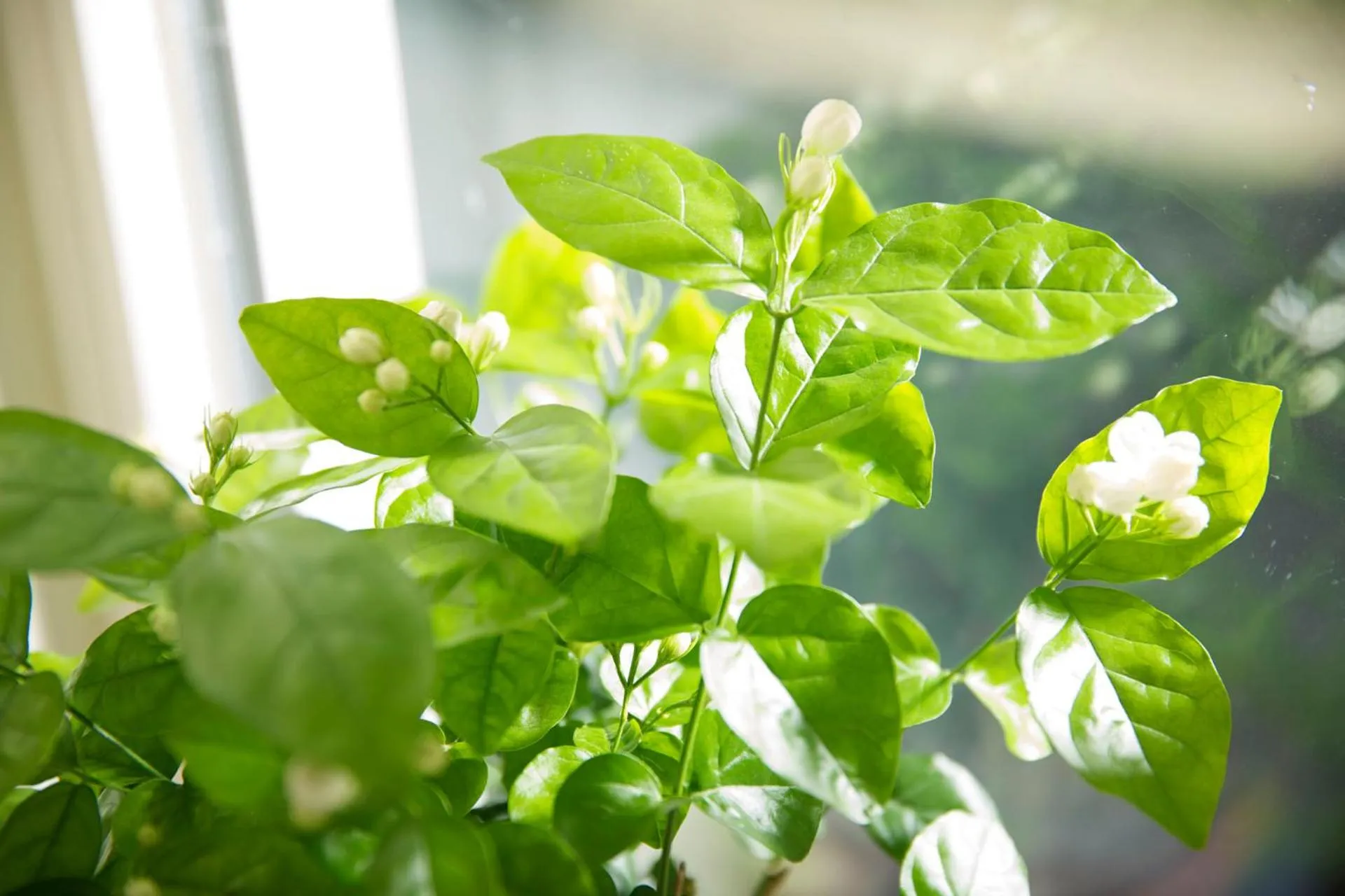 Jinjiang Inn - Chongqing Shopping & Entertainment Center