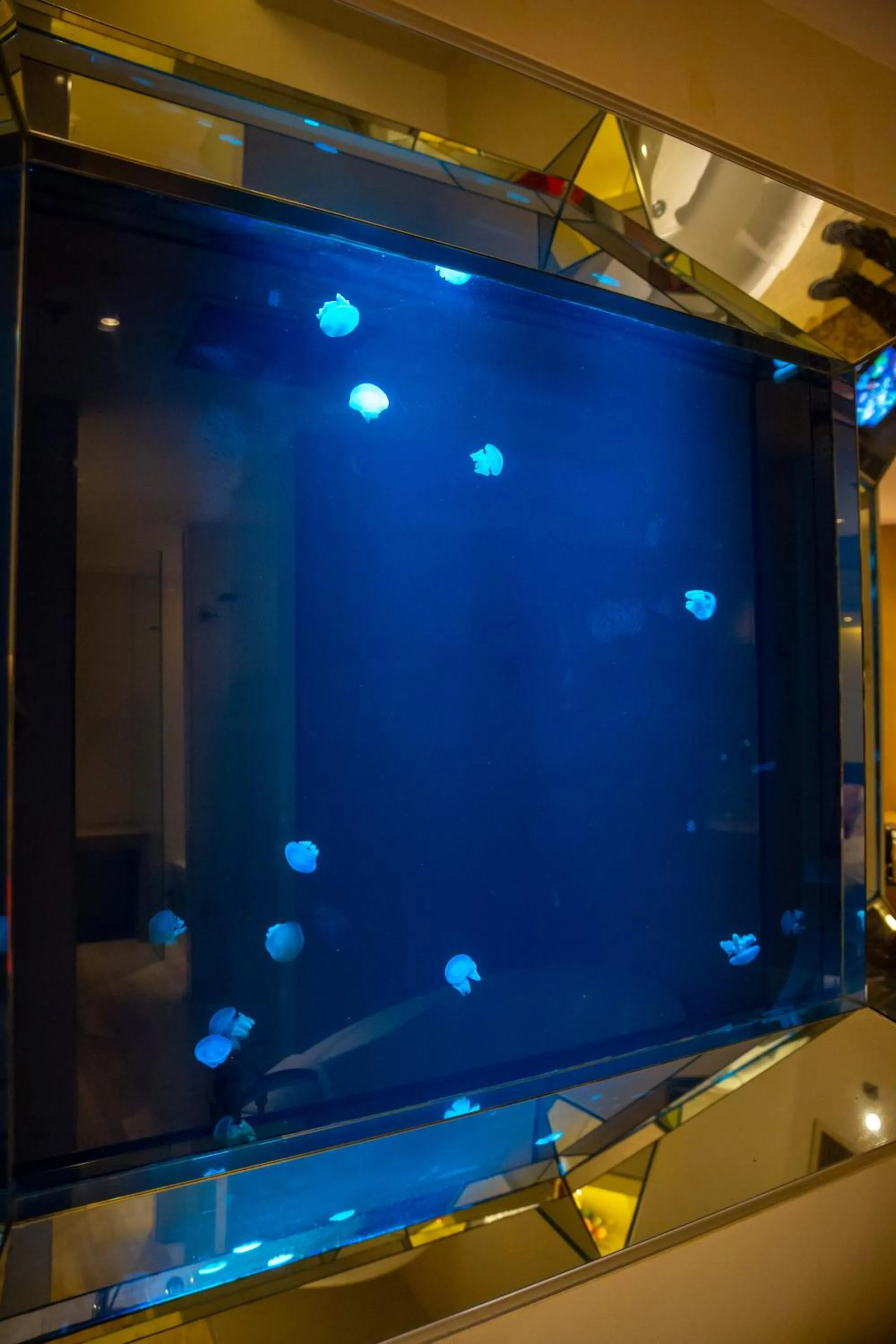 View (from property/room) in Hotel H2O