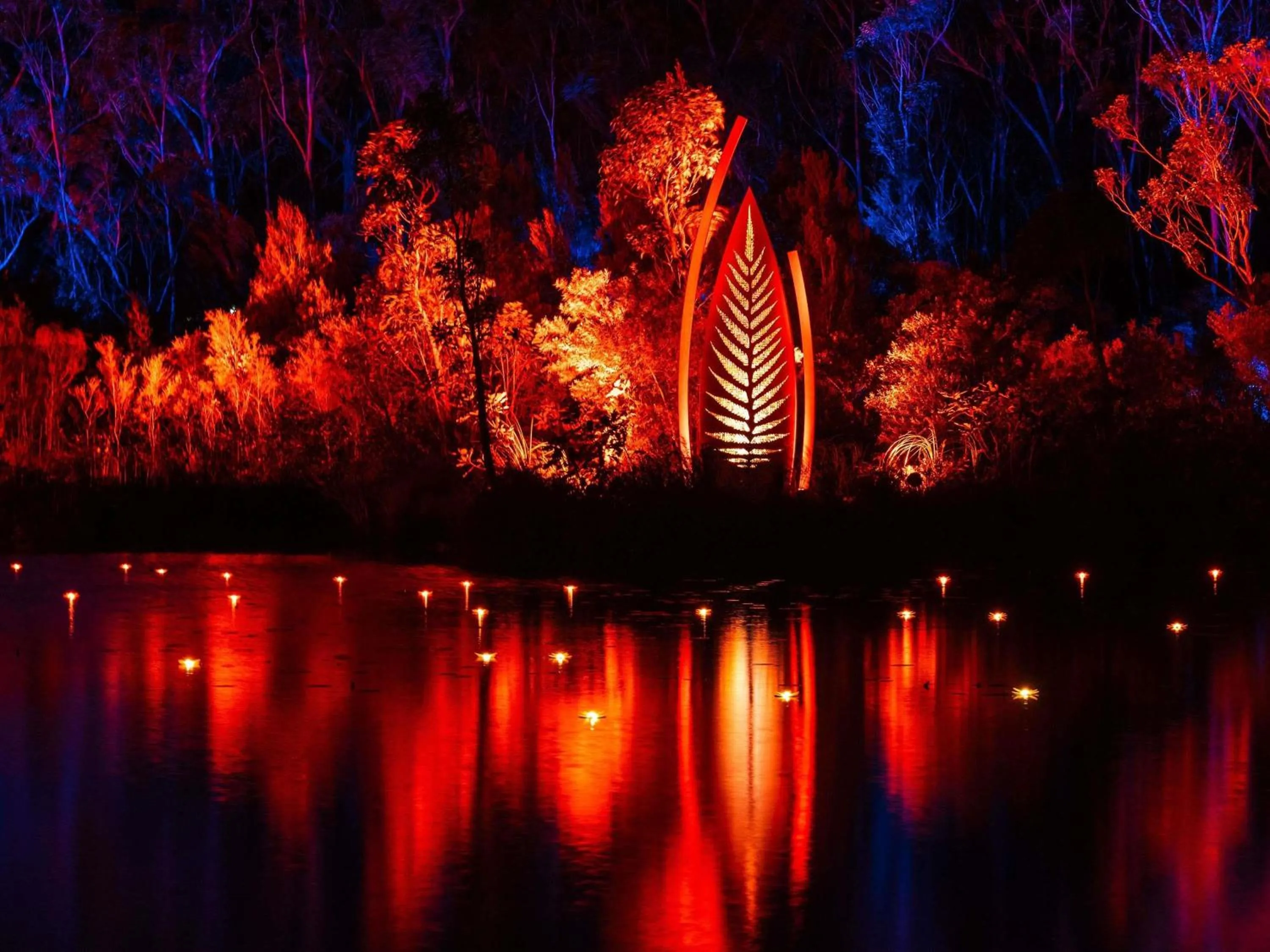 Sports in Kingfisher Bay Resort