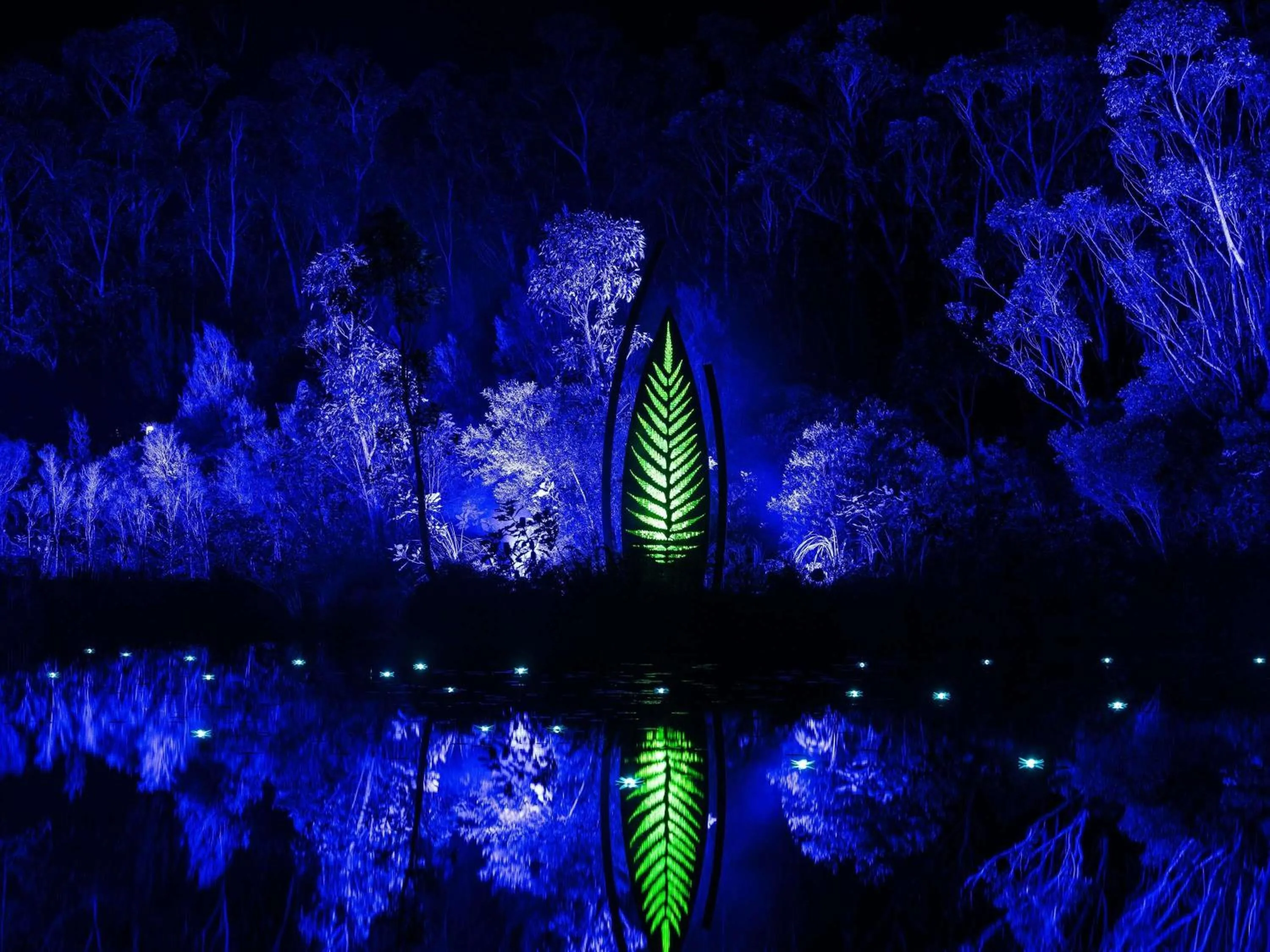 Sports in Kingfisher Bay Resort