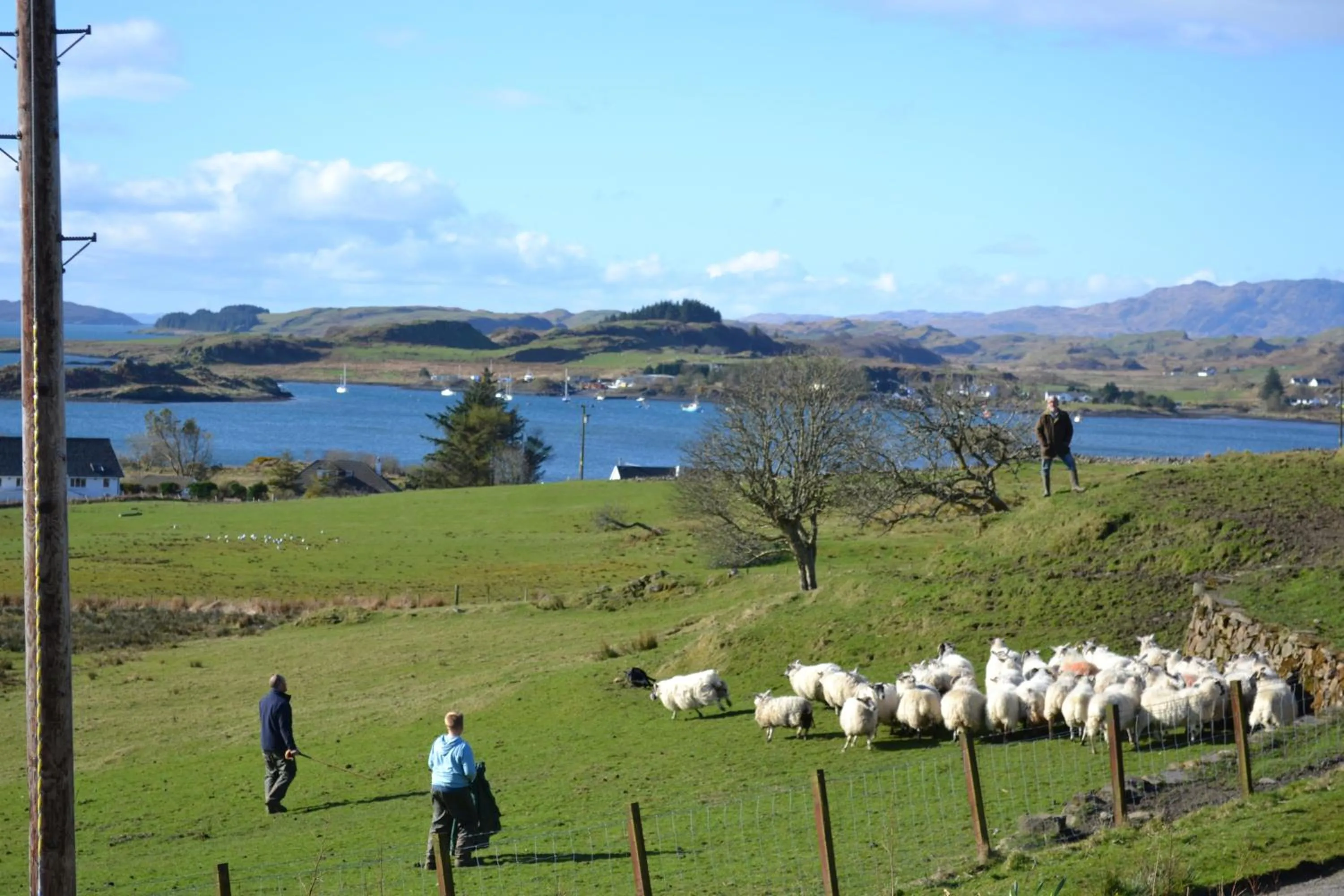 Animals in Oban Seil Farm The Bothy