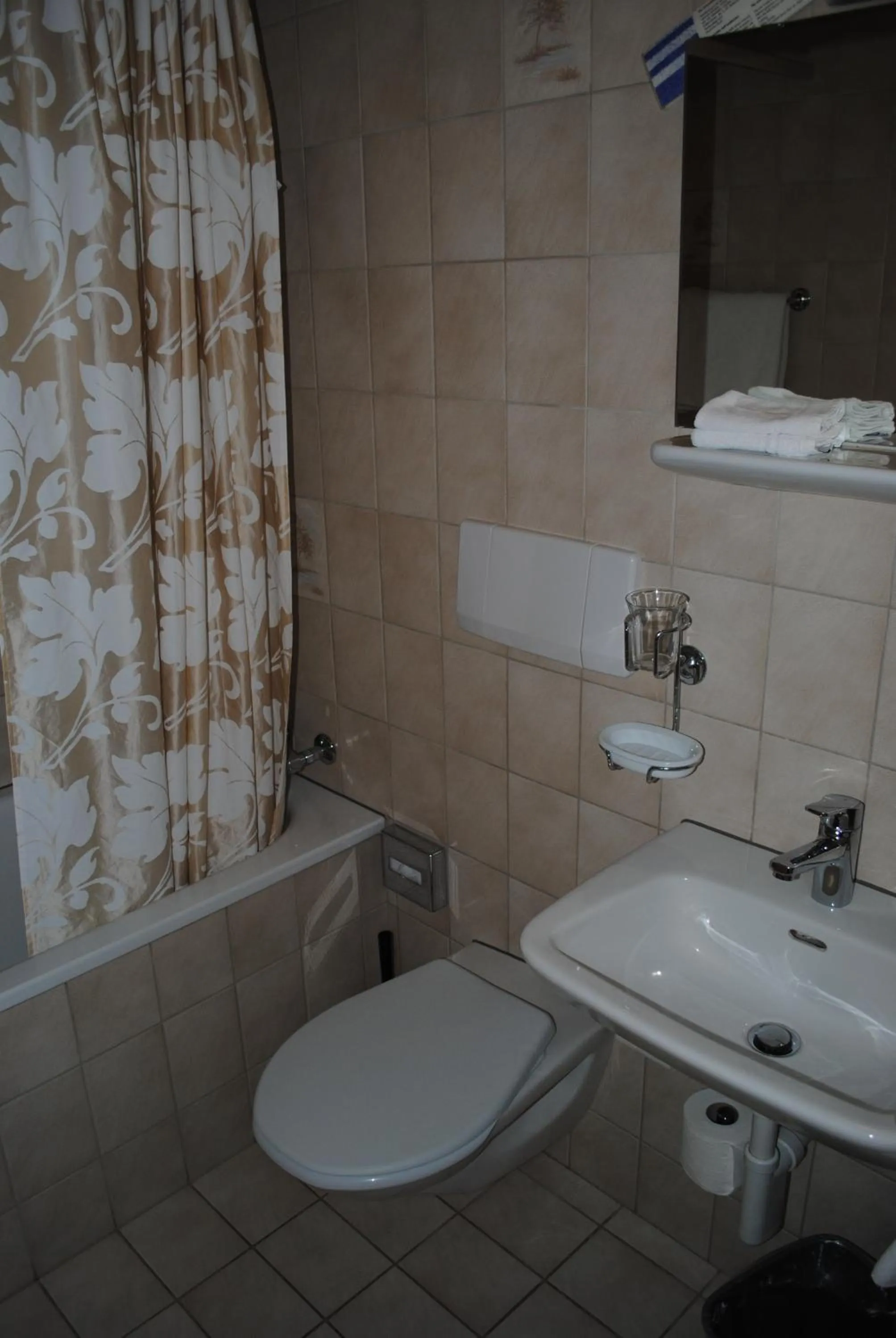 Bathroom in Hotel Des Alpes