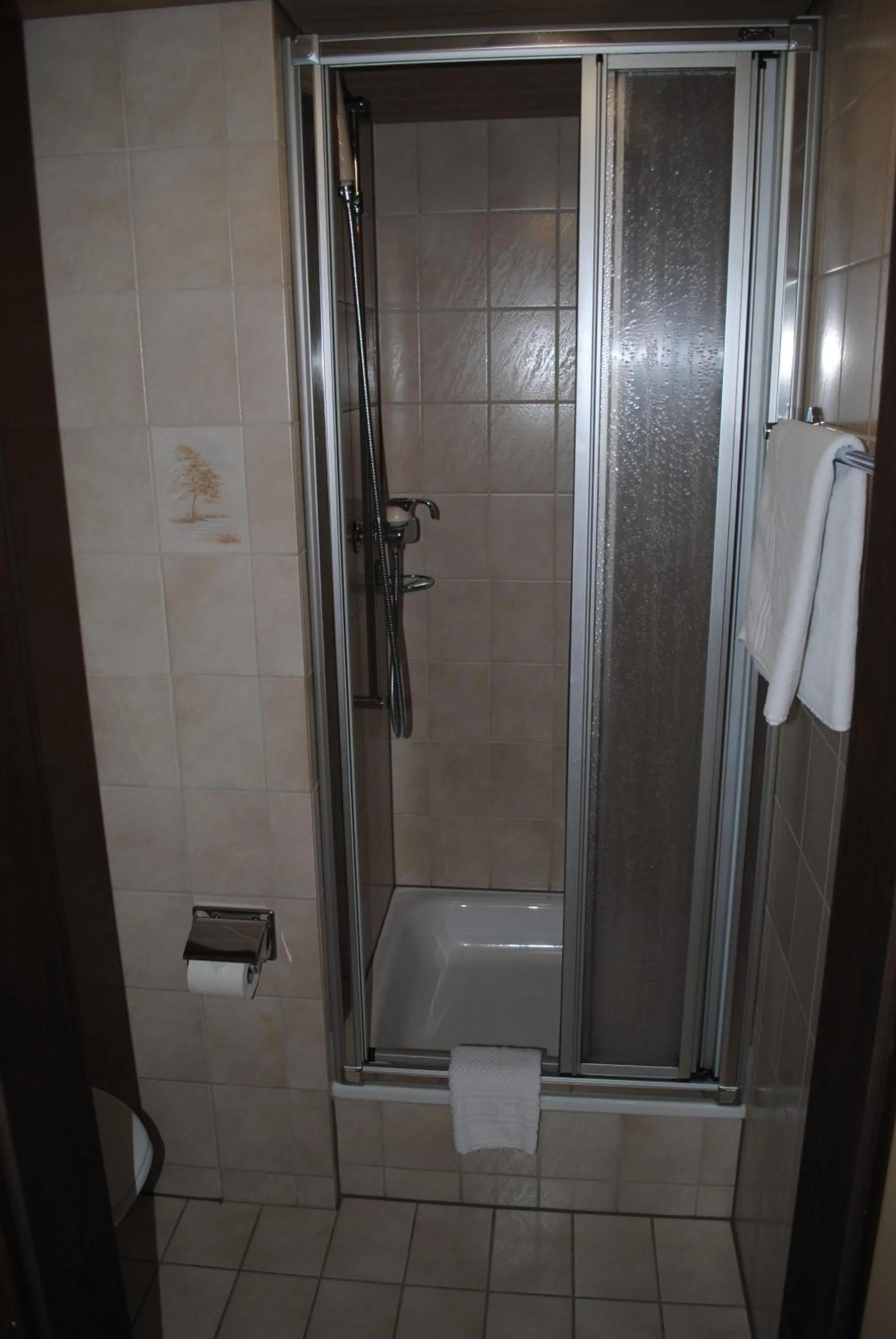 Bathroom in Hotel Des Alpes