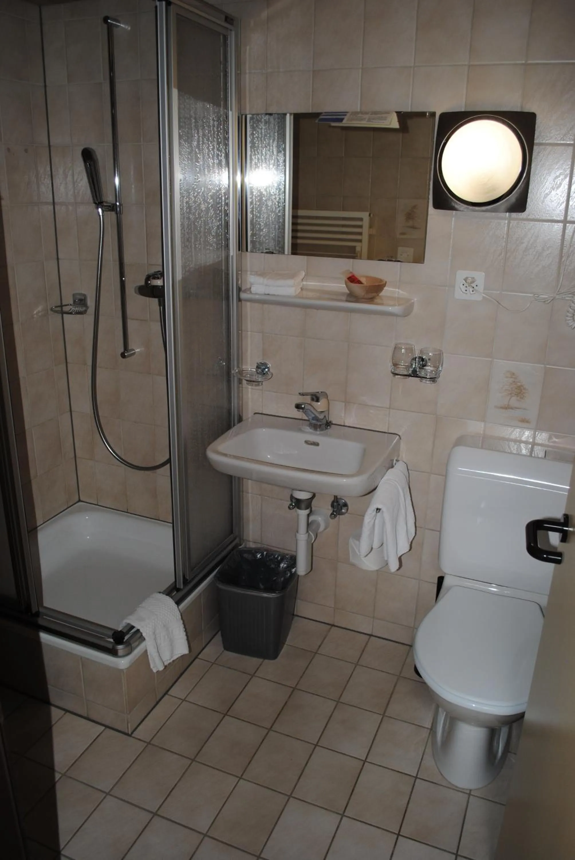 Bathroom in Hotel Des Alpes