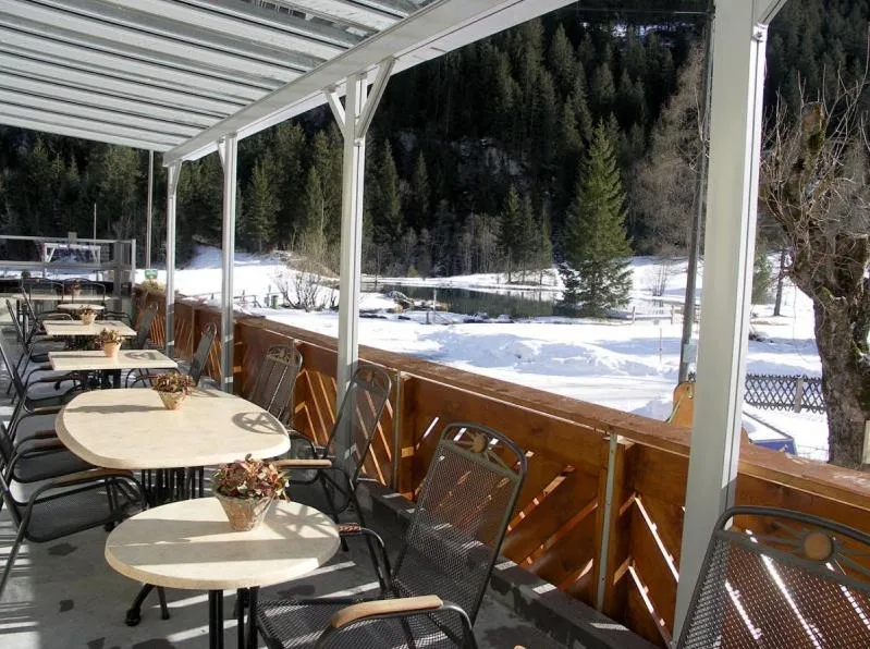 Balcony/Terrace in Hotel Des Alpes