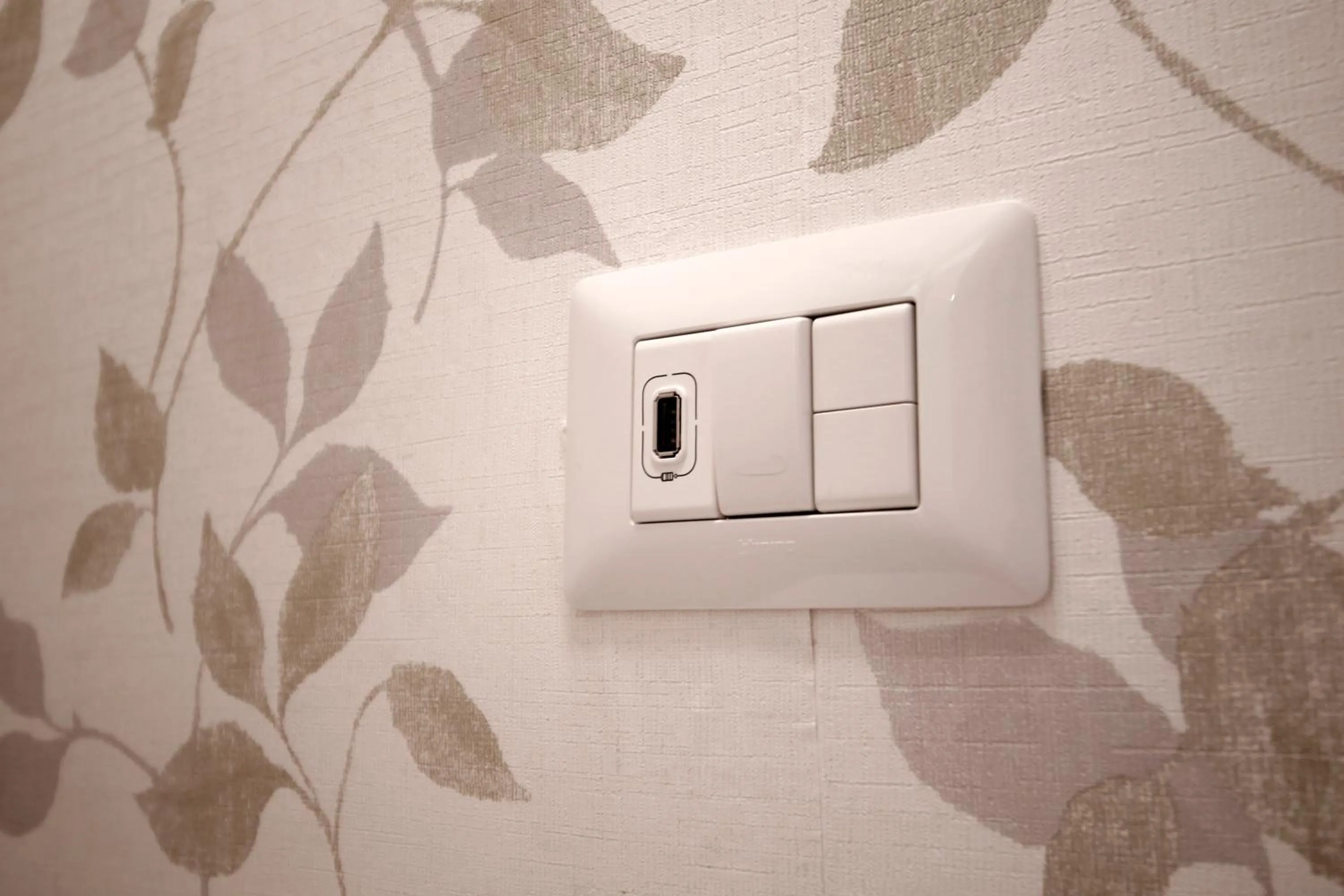 Decorative detail in Domus Iuliae