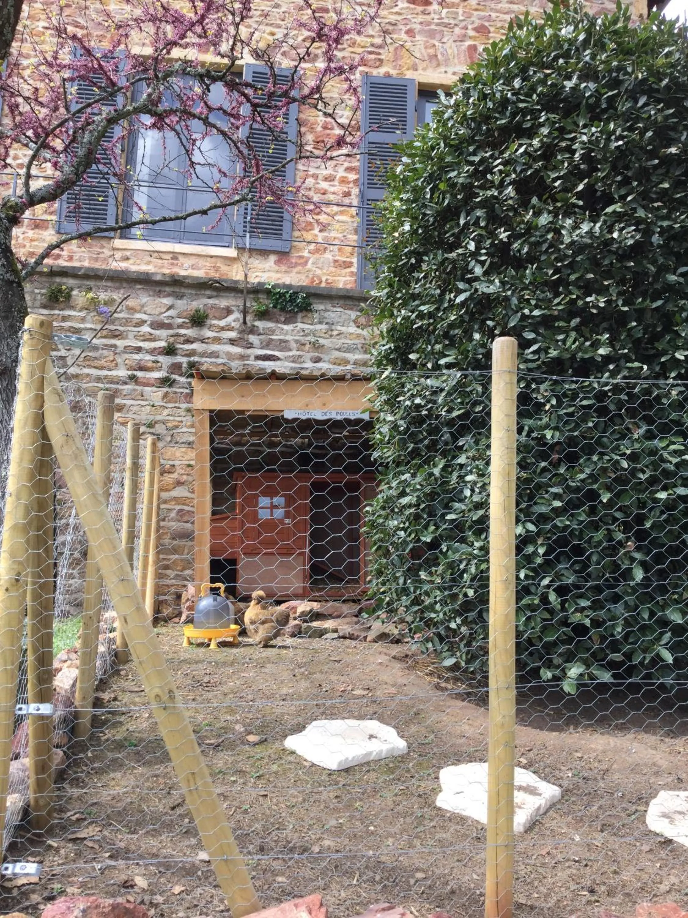 Animals in Contact Hôtels Le Savigny & Spa