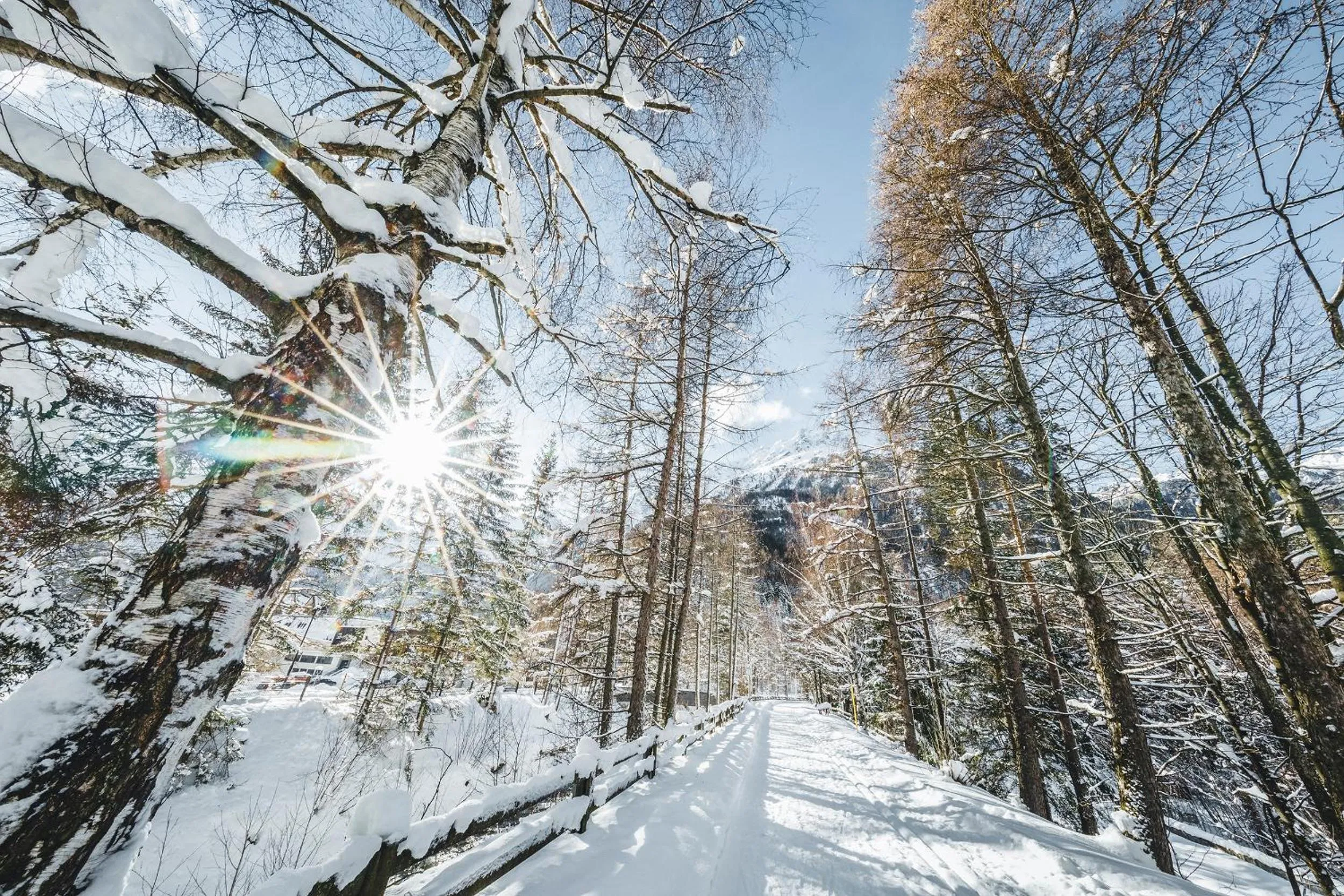 Natural landscape in Naturhotel Waldklause