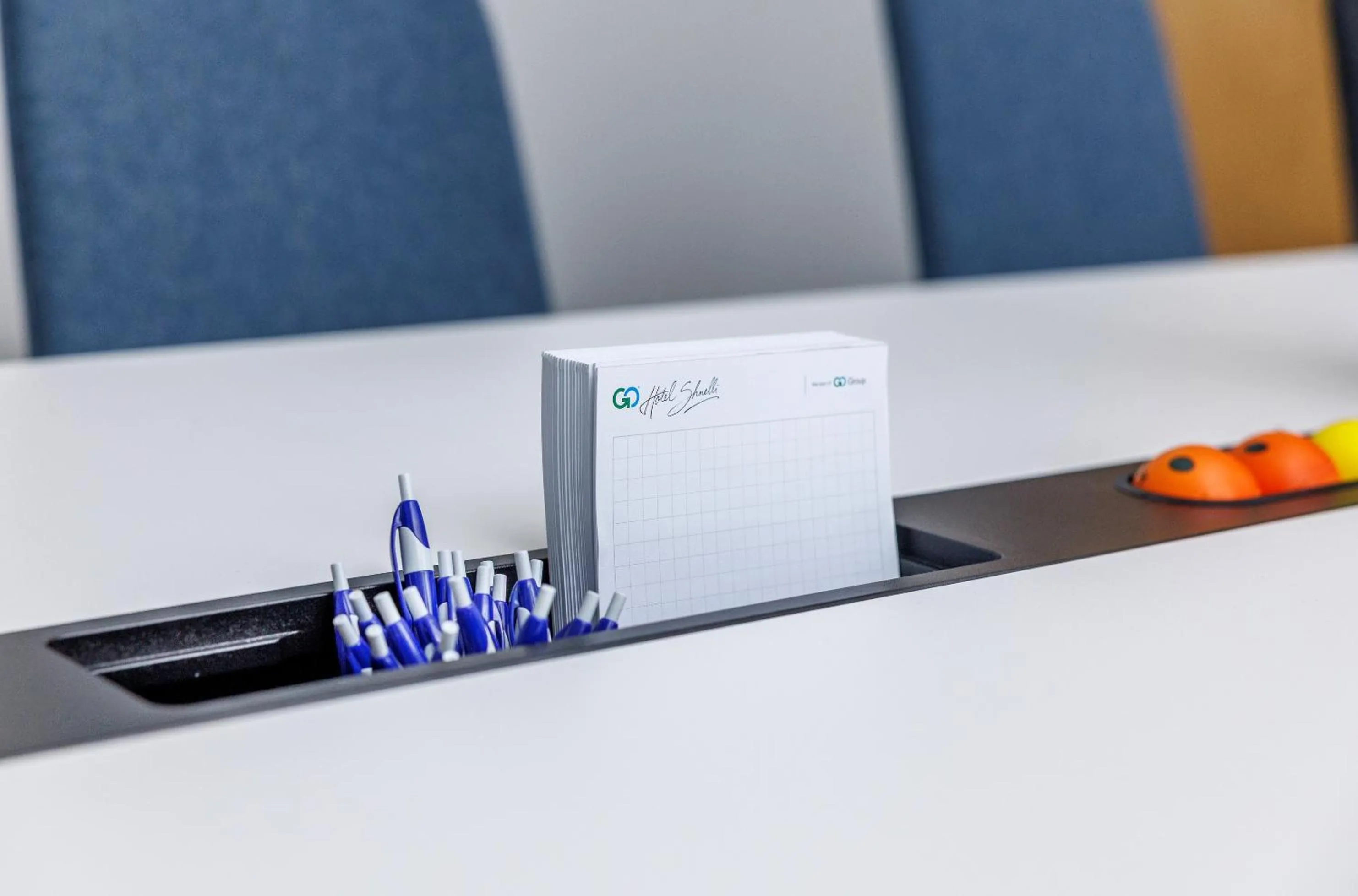 Business facilities in Go Hotel Shnelli