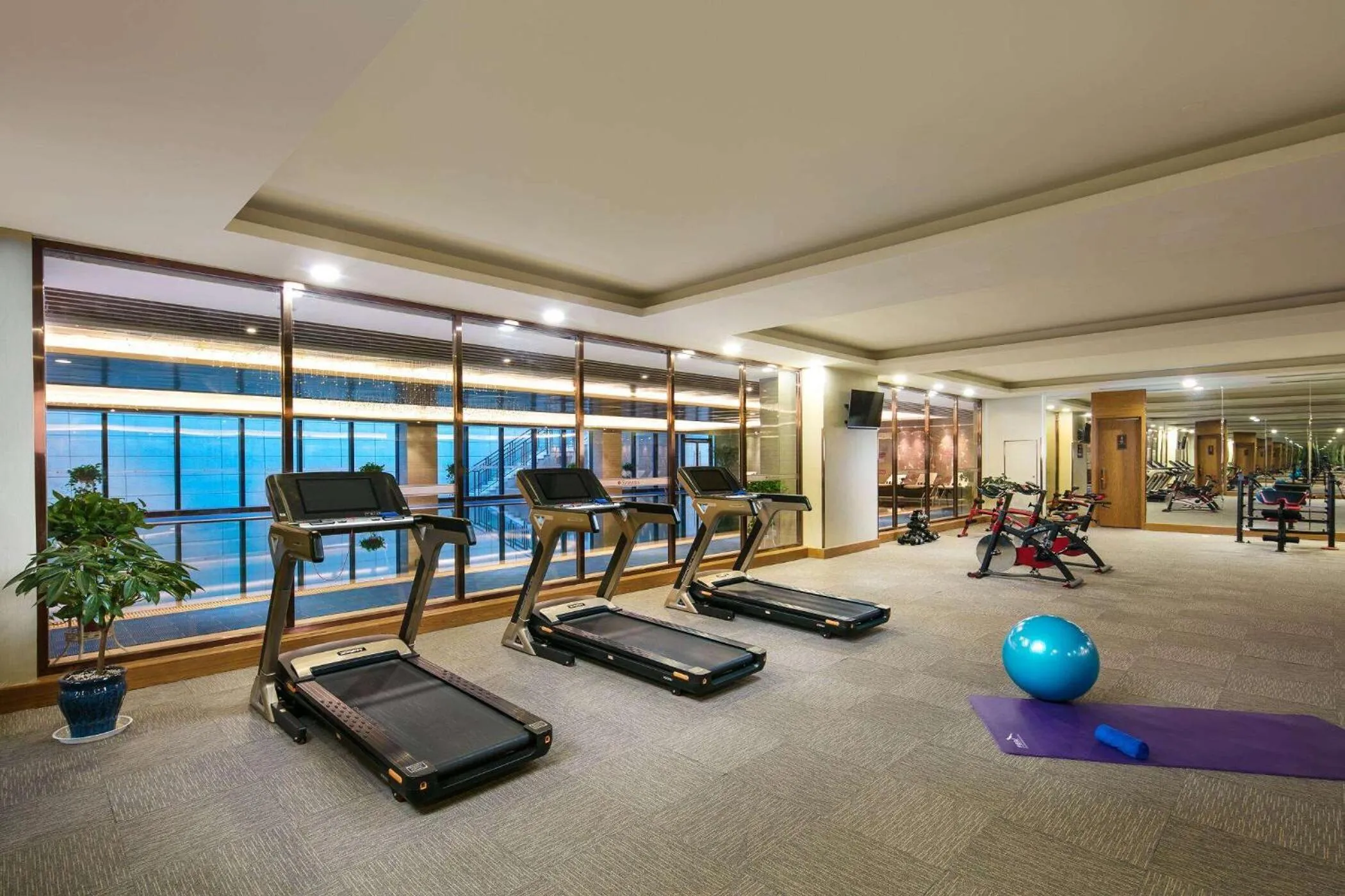 Fitness centre/facilities in Ramada Heze