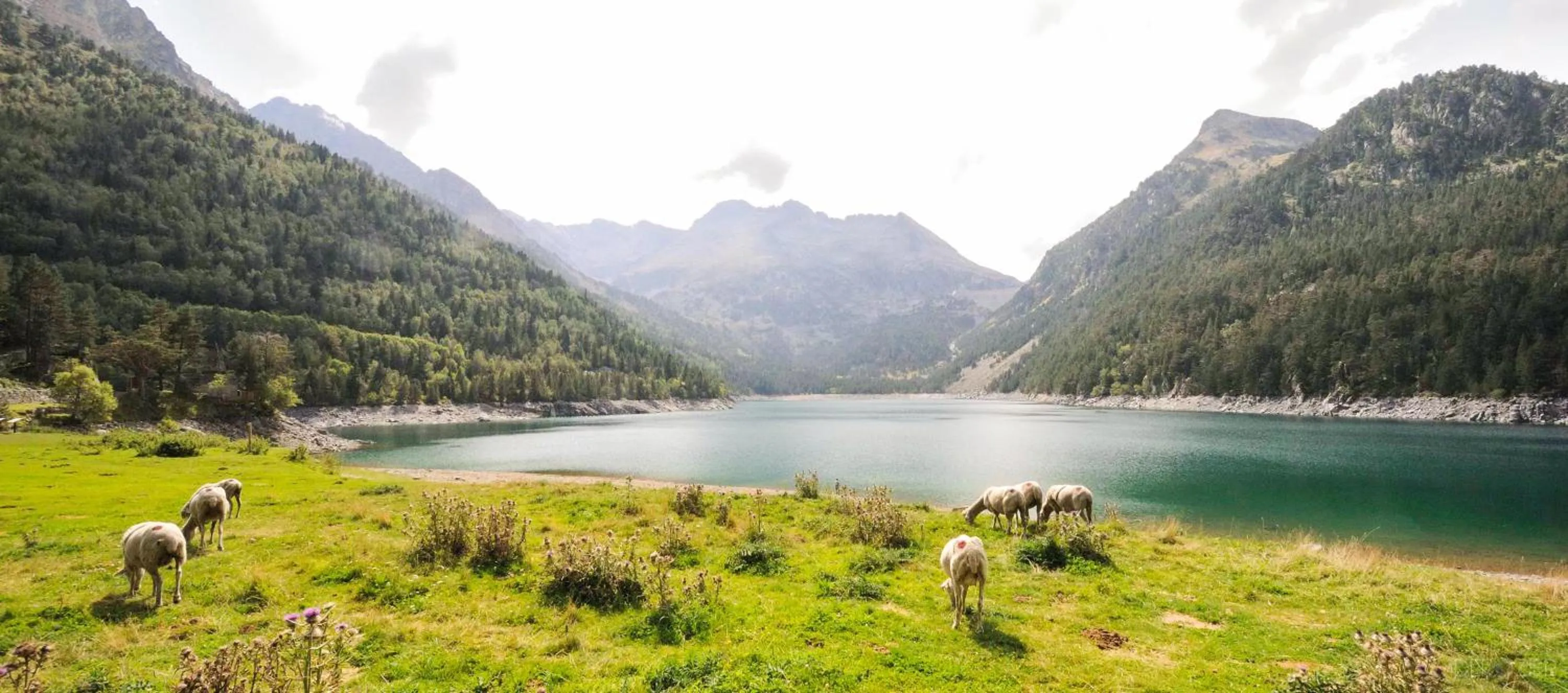 Activities in Hôtel Atrium