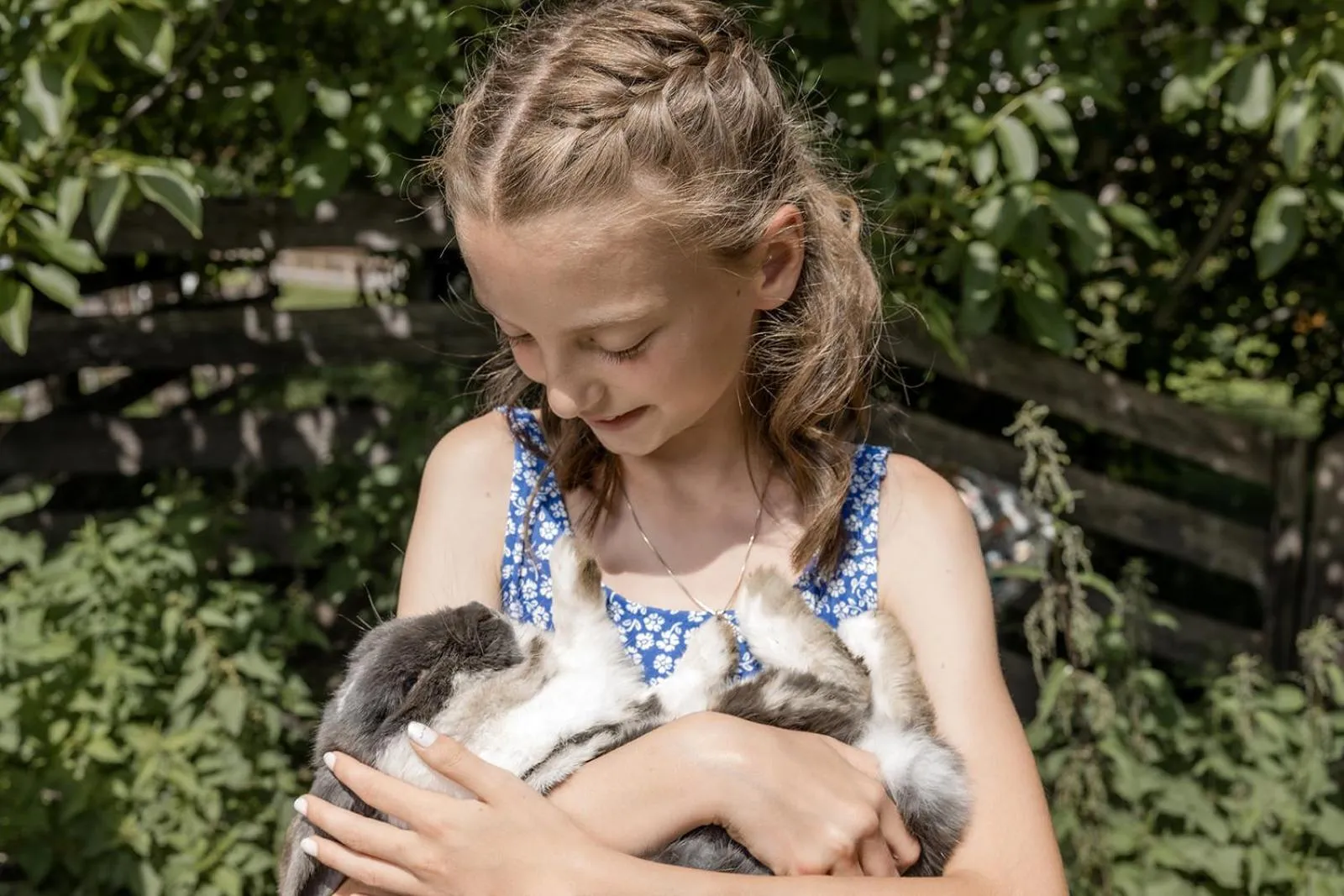 Animals in Hotel Roslehen