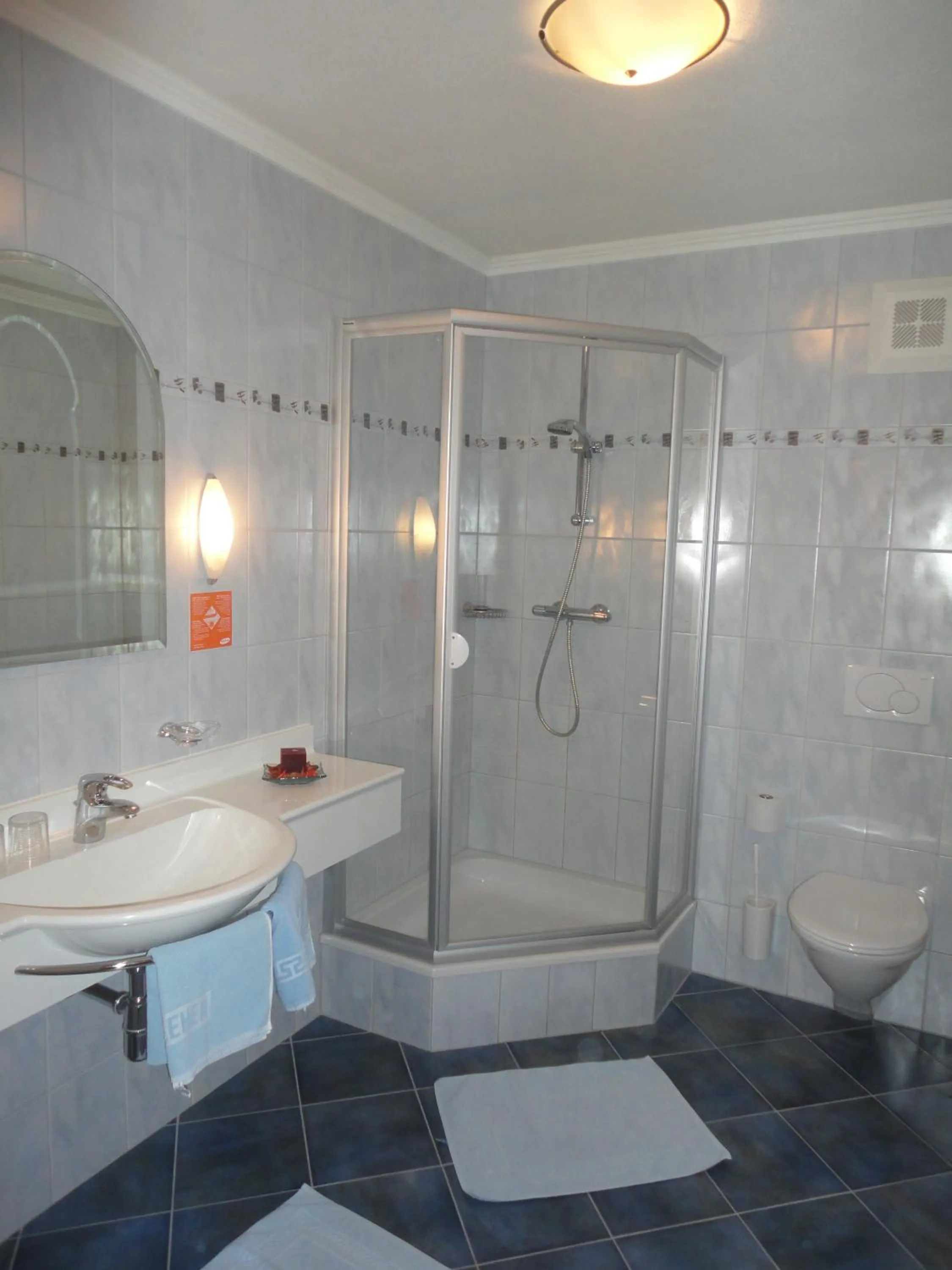 Shower in Hotel Roslehen