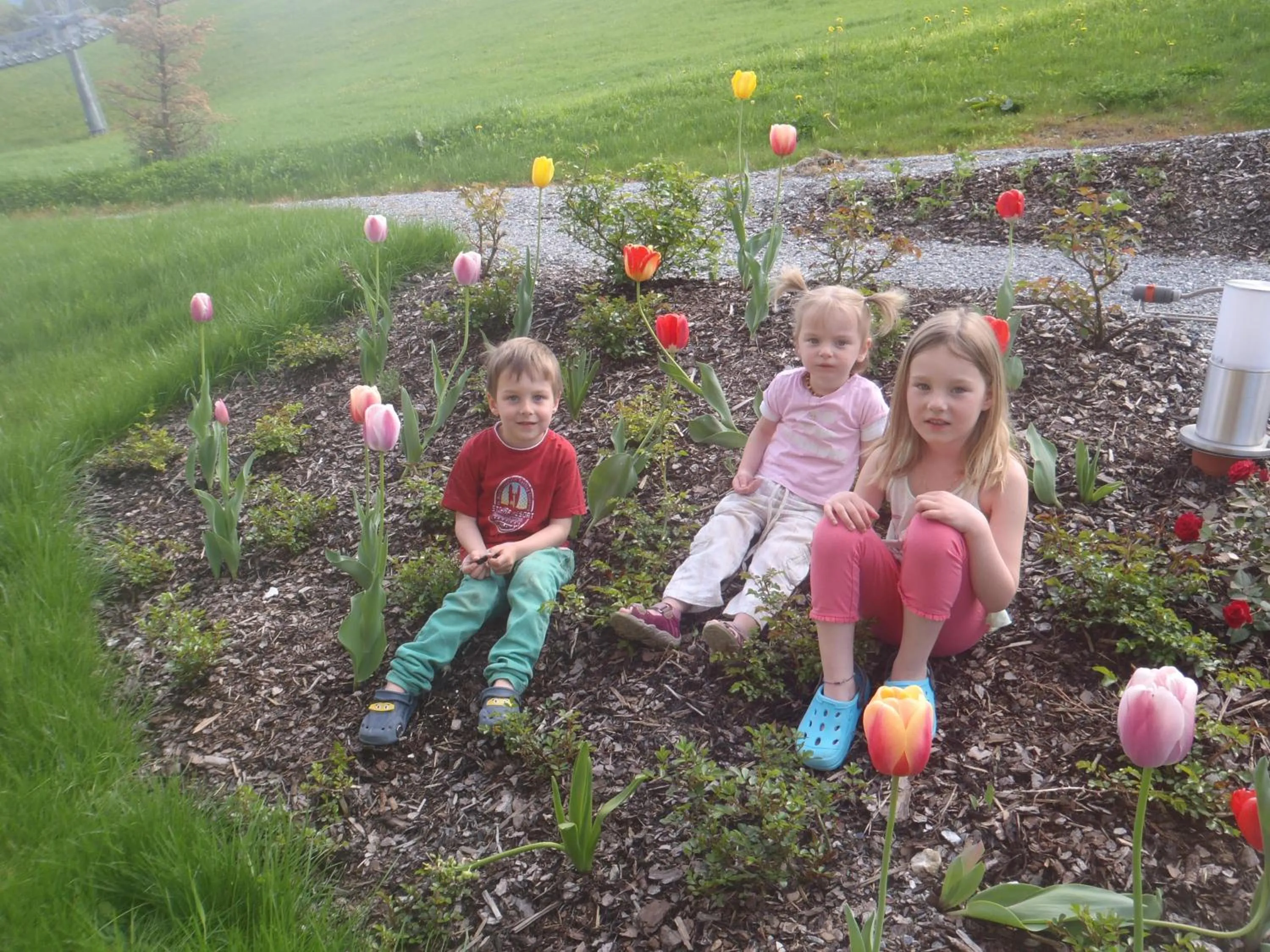 Garden in Hotel Roslehen
