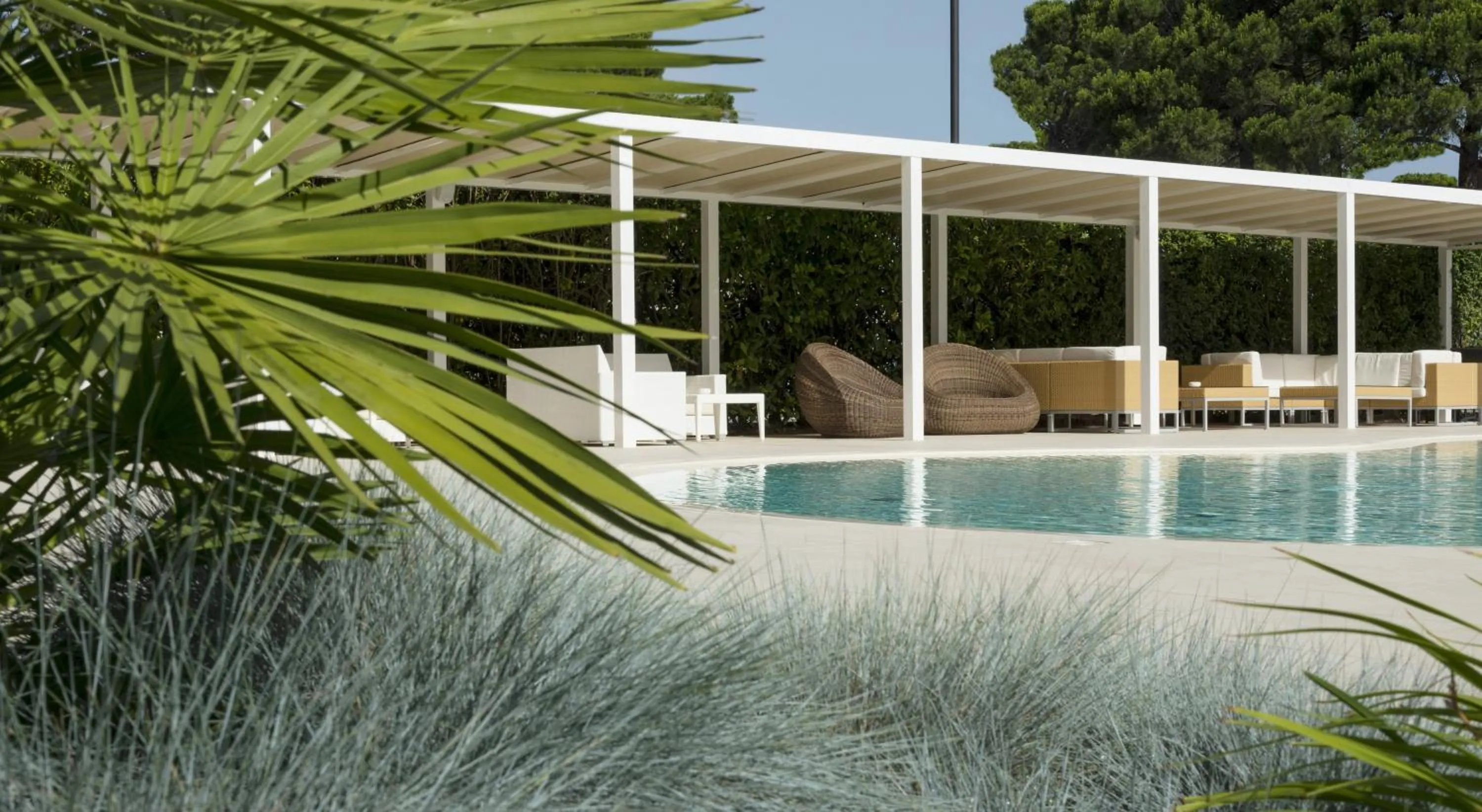 Area and facilities in Hotel San Marco