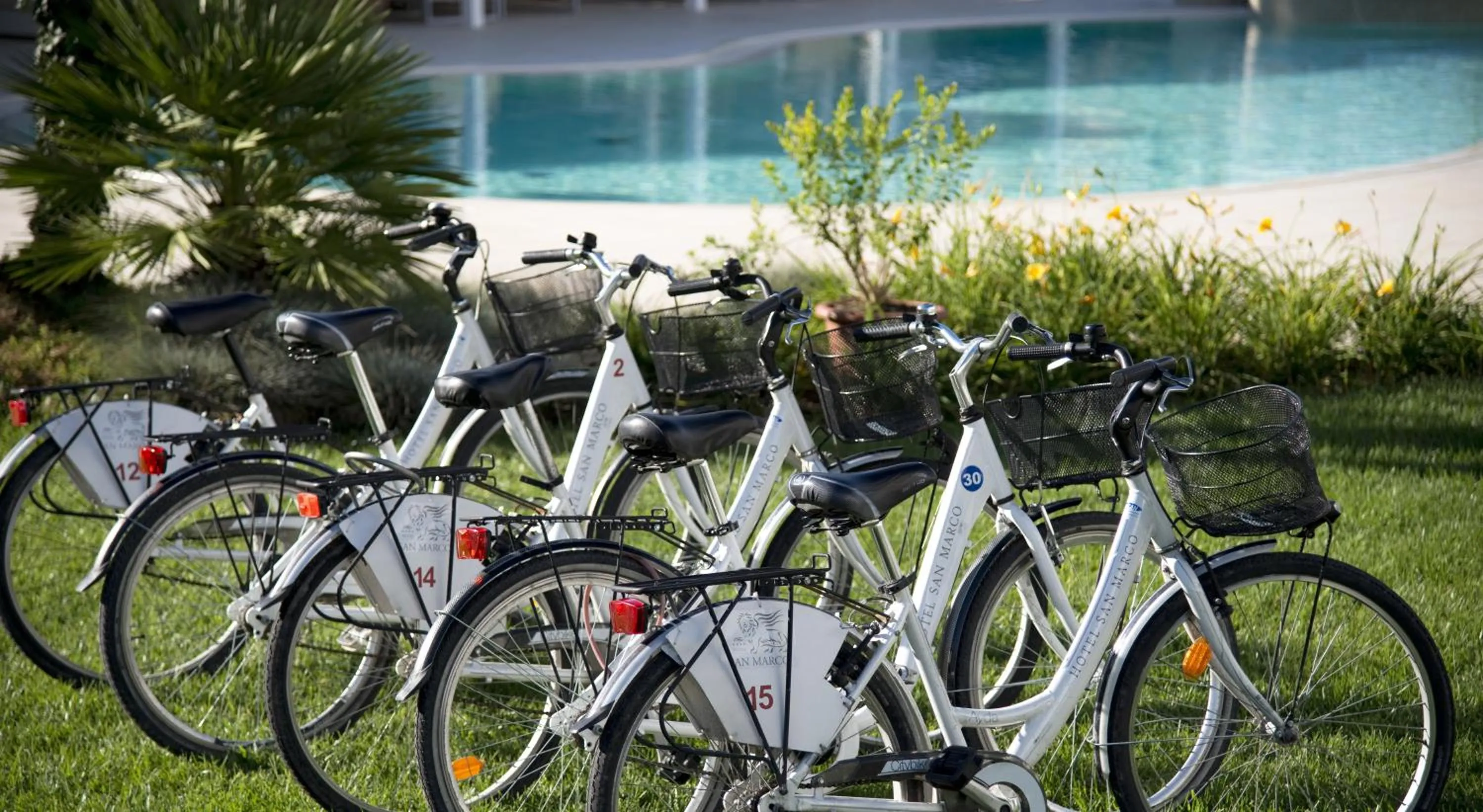 Cycling in Hotel San Marco
