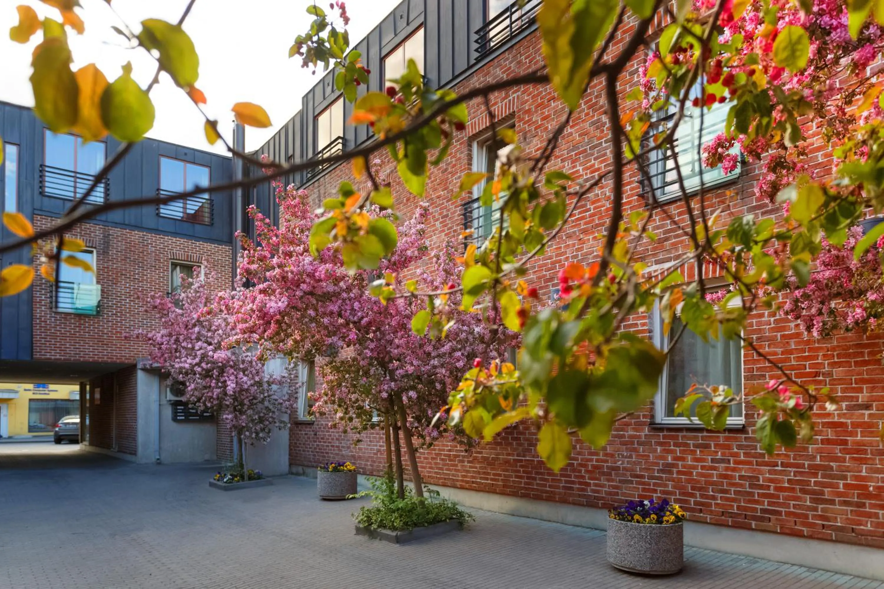 Property building in Bern Boutique by Rikas Hotels