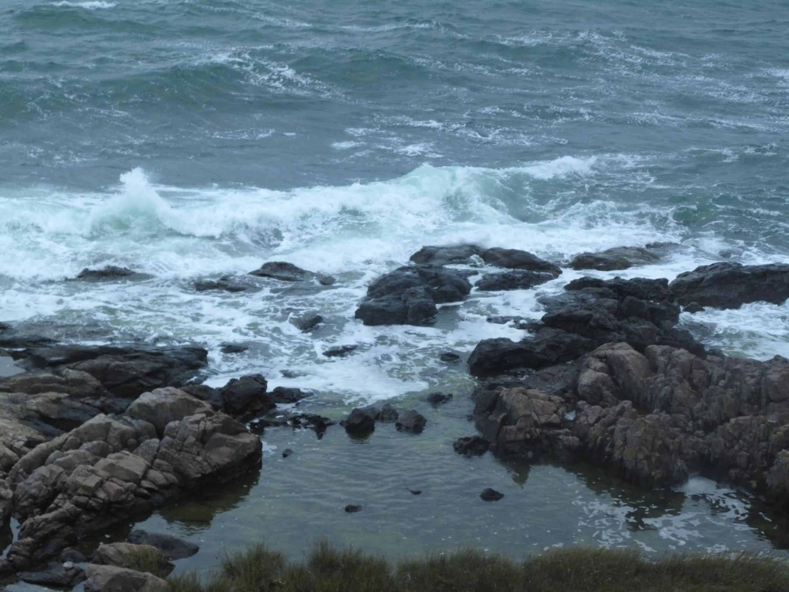Sea view in Fjord B&B