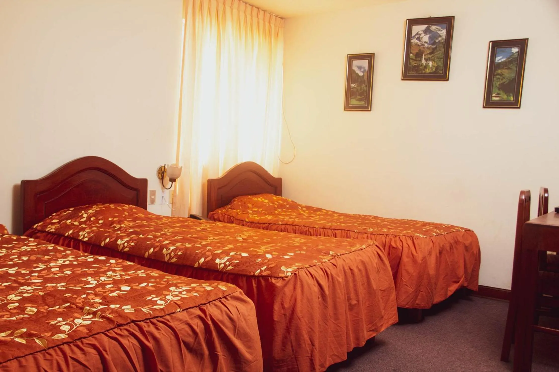 Bed in Hotel Internacional