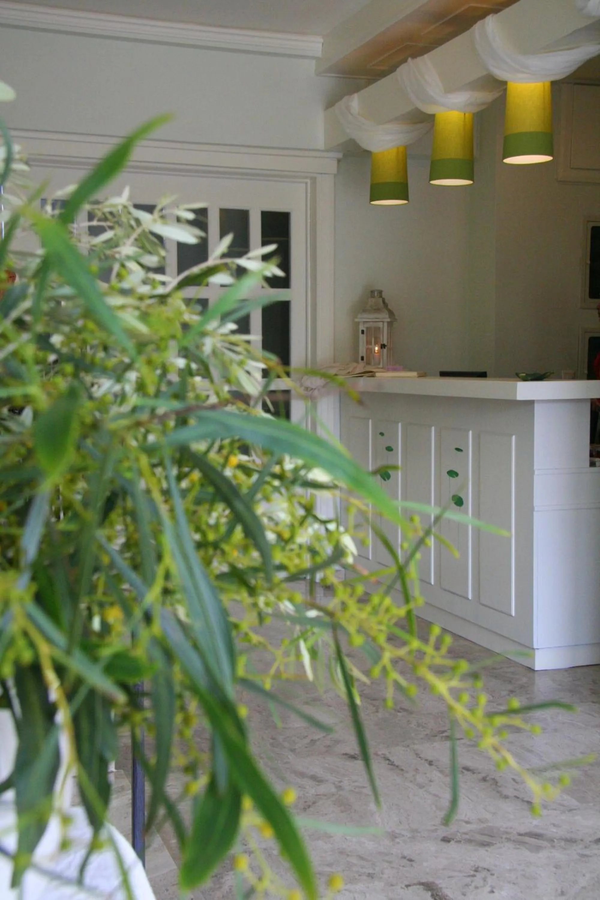 Area and facilities in Waterlily Hotel Apartments