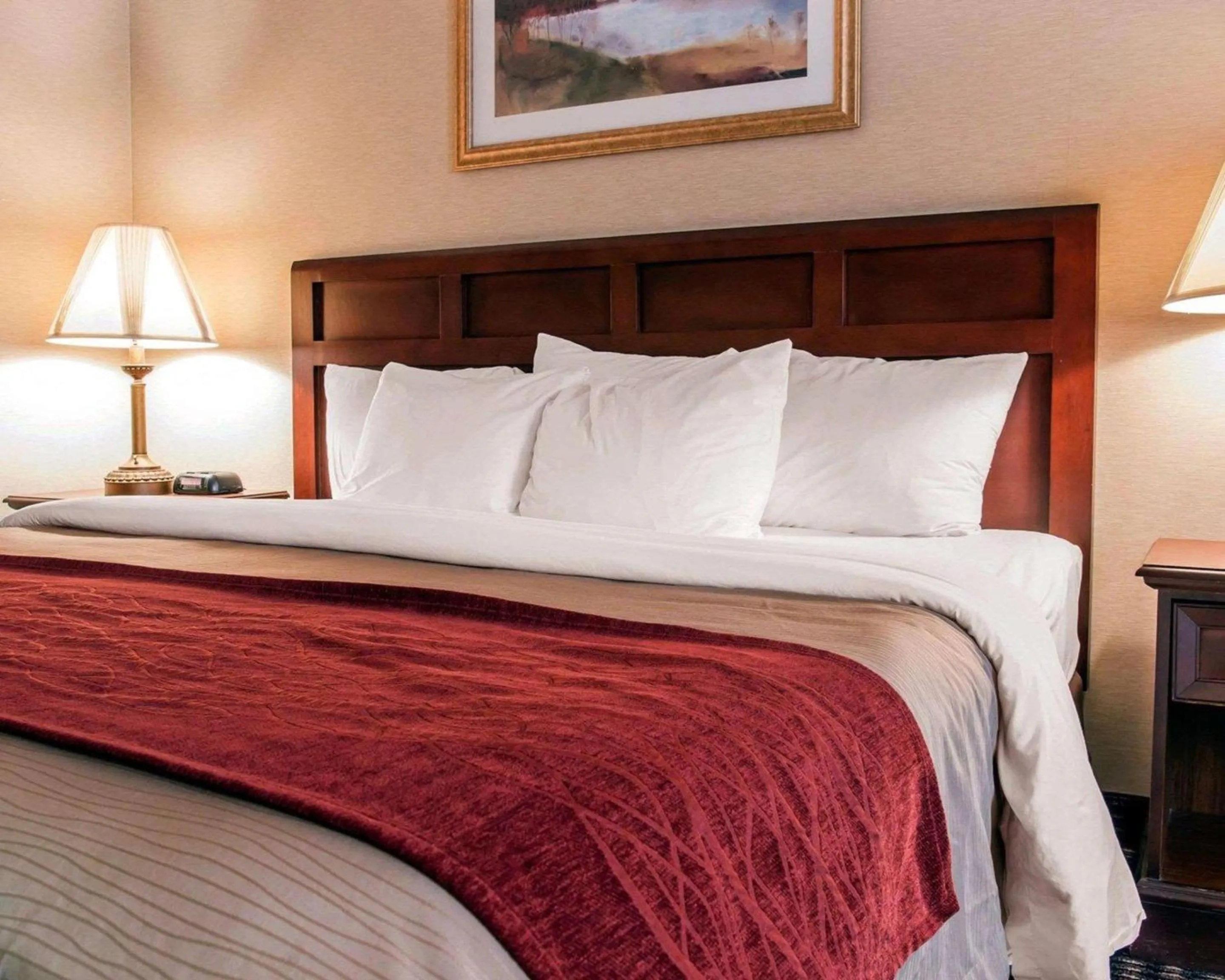 Photo of the whole room, Bed in Comfort Inn