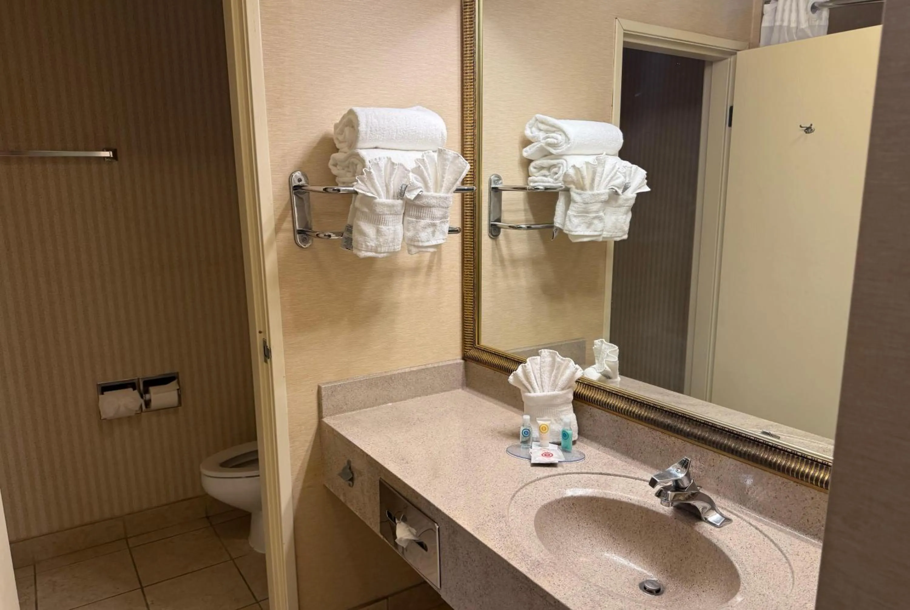 Bathroom in Wingate by Wyndham Livonia