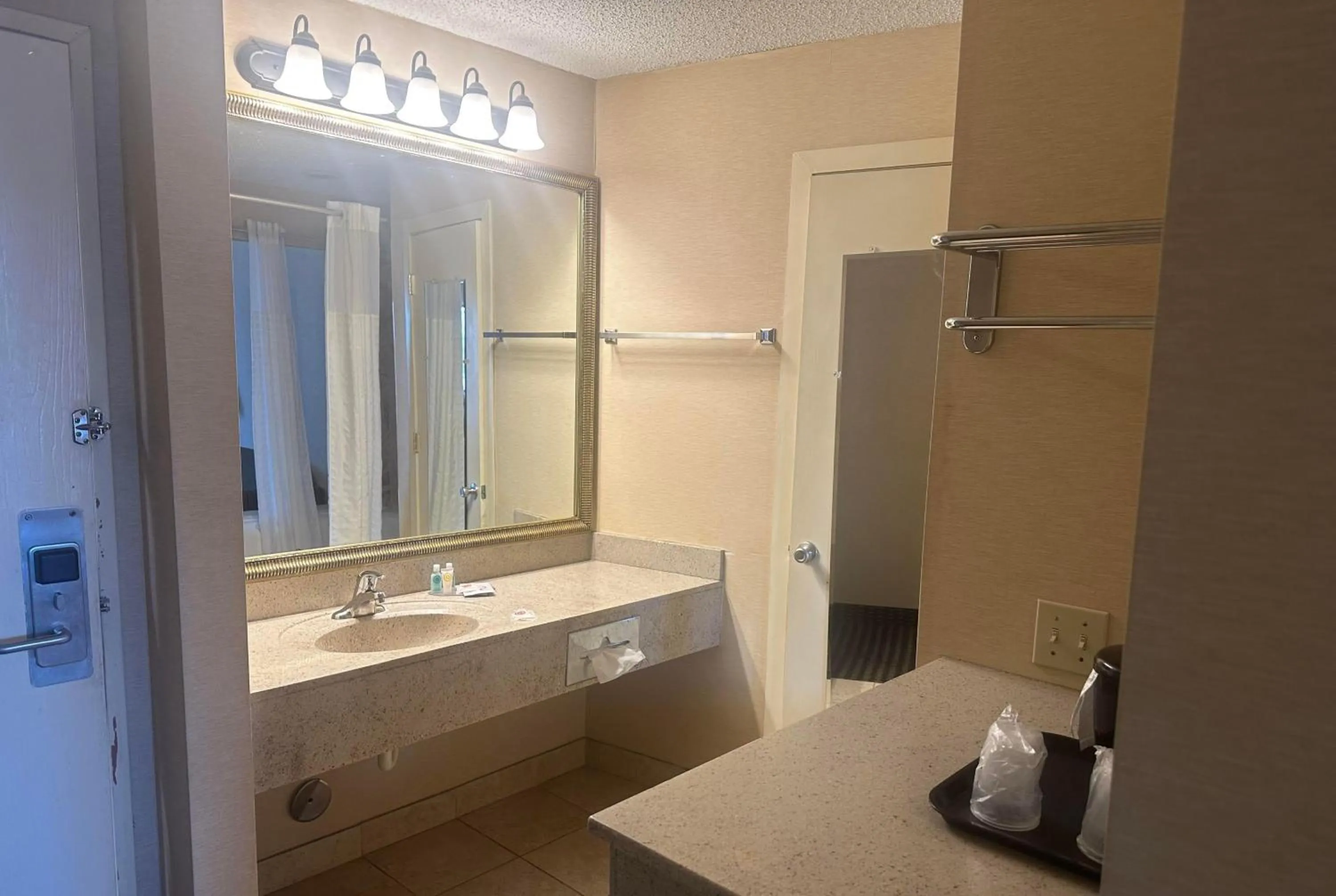 Bathroom in Wingate by Wyndham Livonia