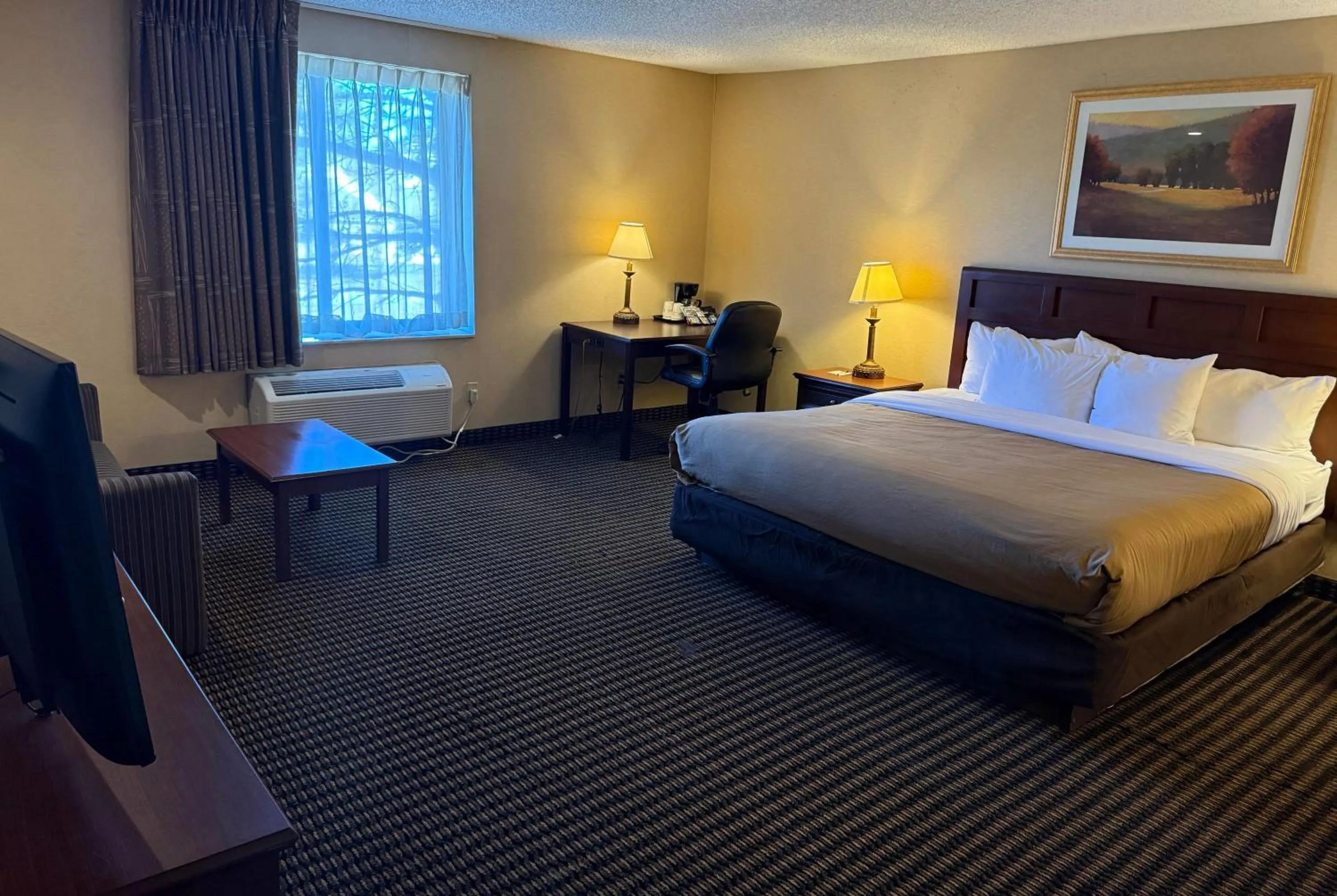 Photo of the whole room, Bed in Wingate by Wyndham Livonia