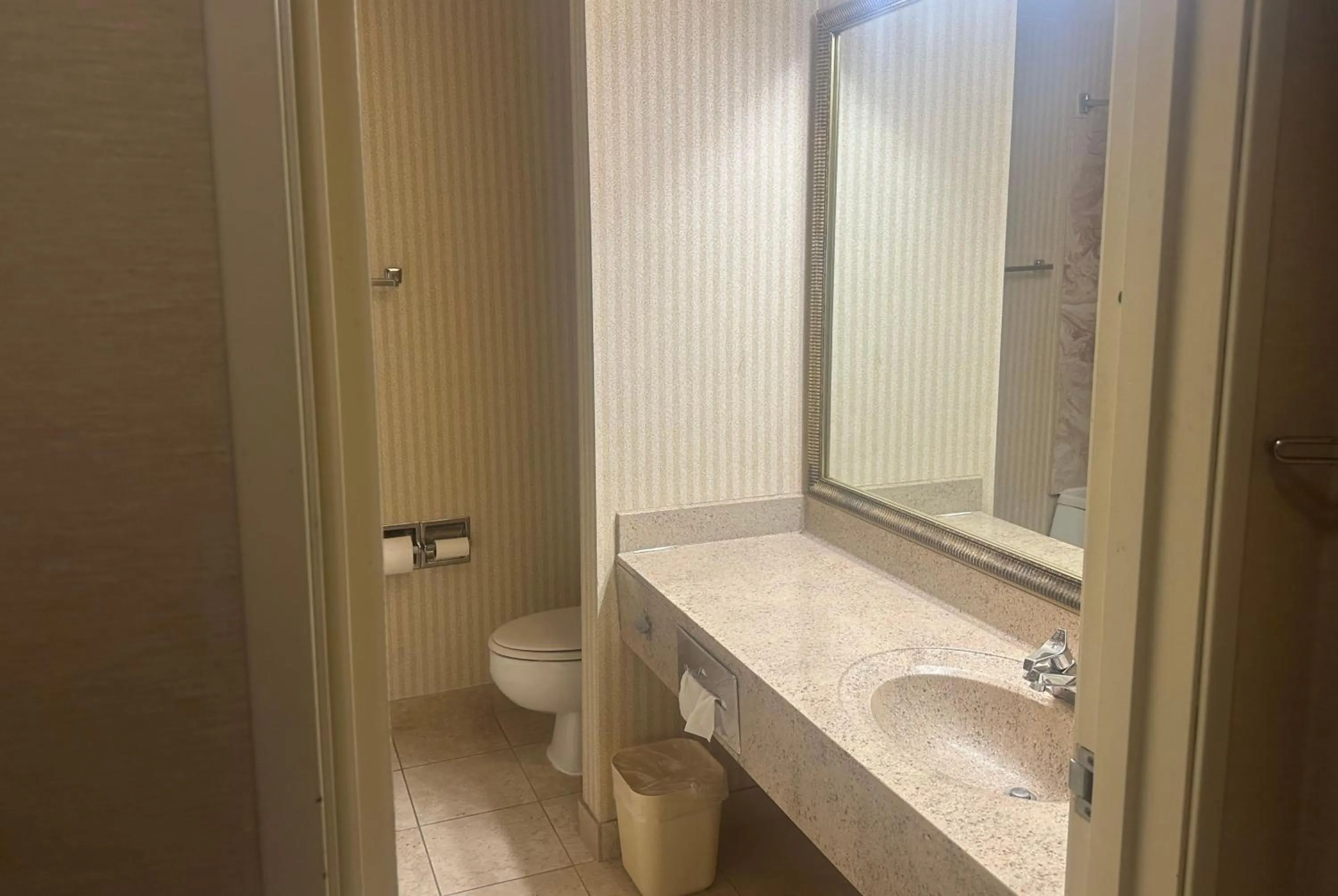Bathroom in Wingate by Wyndham Livonia