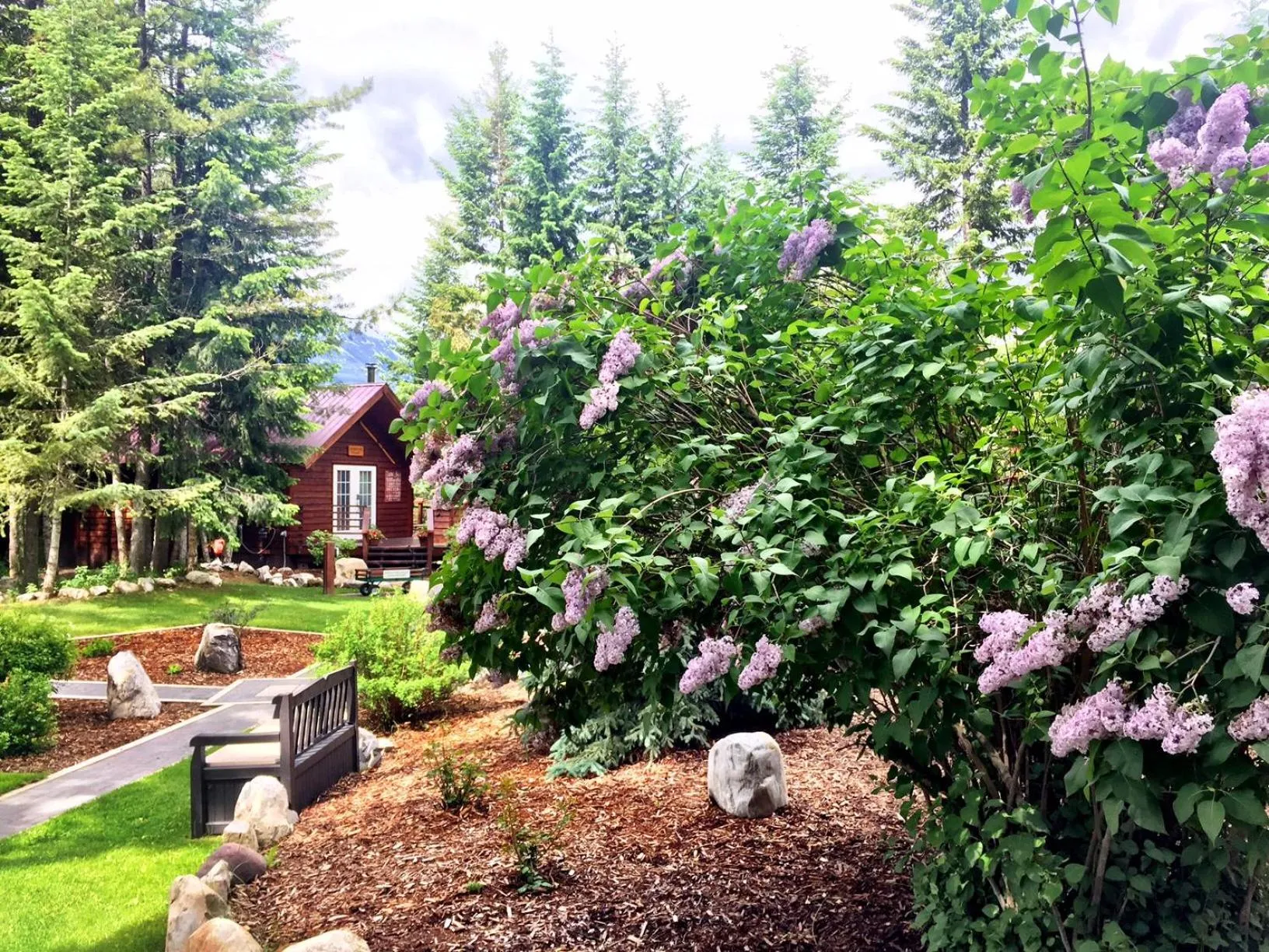 Garden in Cedar House Restaurant & Chalets