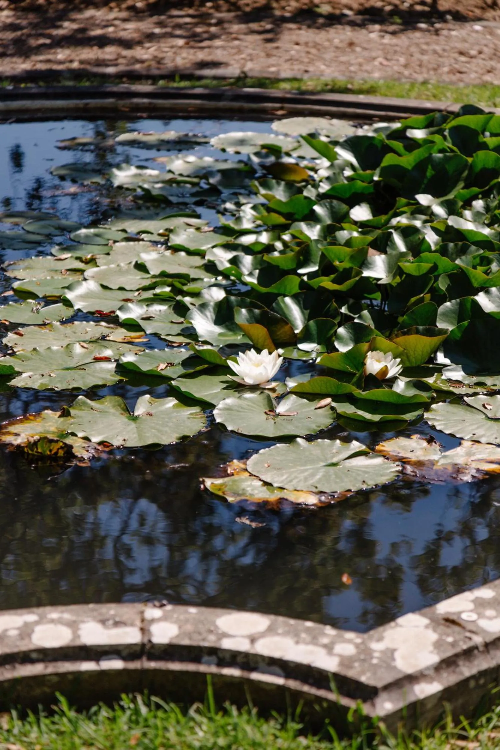 Natural landscape in Château du Clair de Lune - Boutique Luxury Hotel