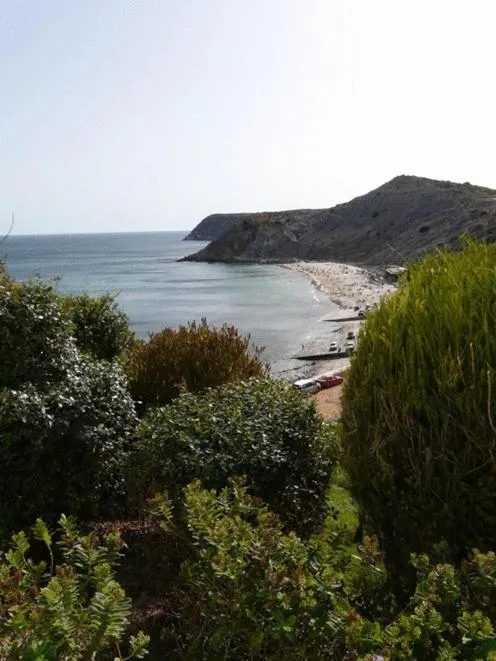 Area and facilities in Apartamentos Os Descobrimentos