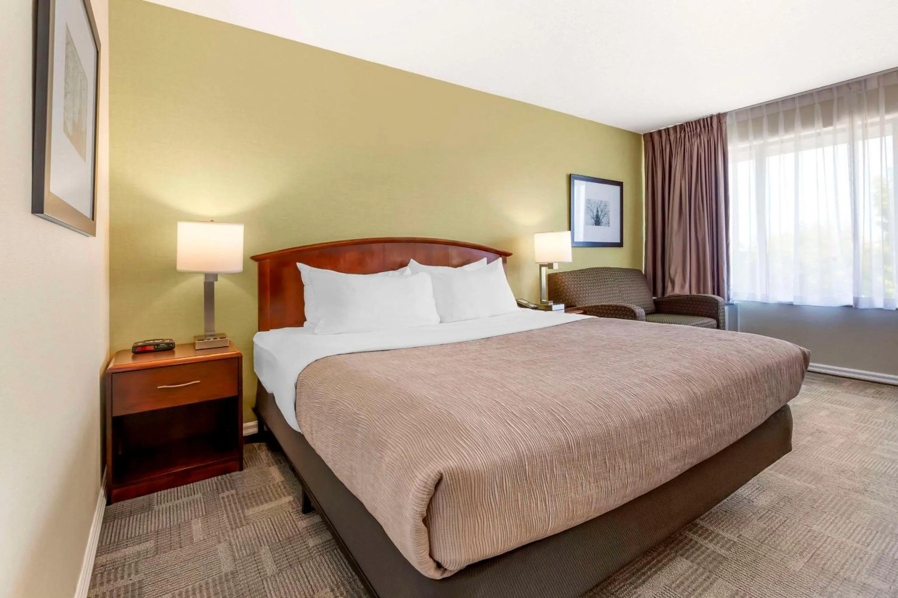 Bedroom, Bed in Quality Inn