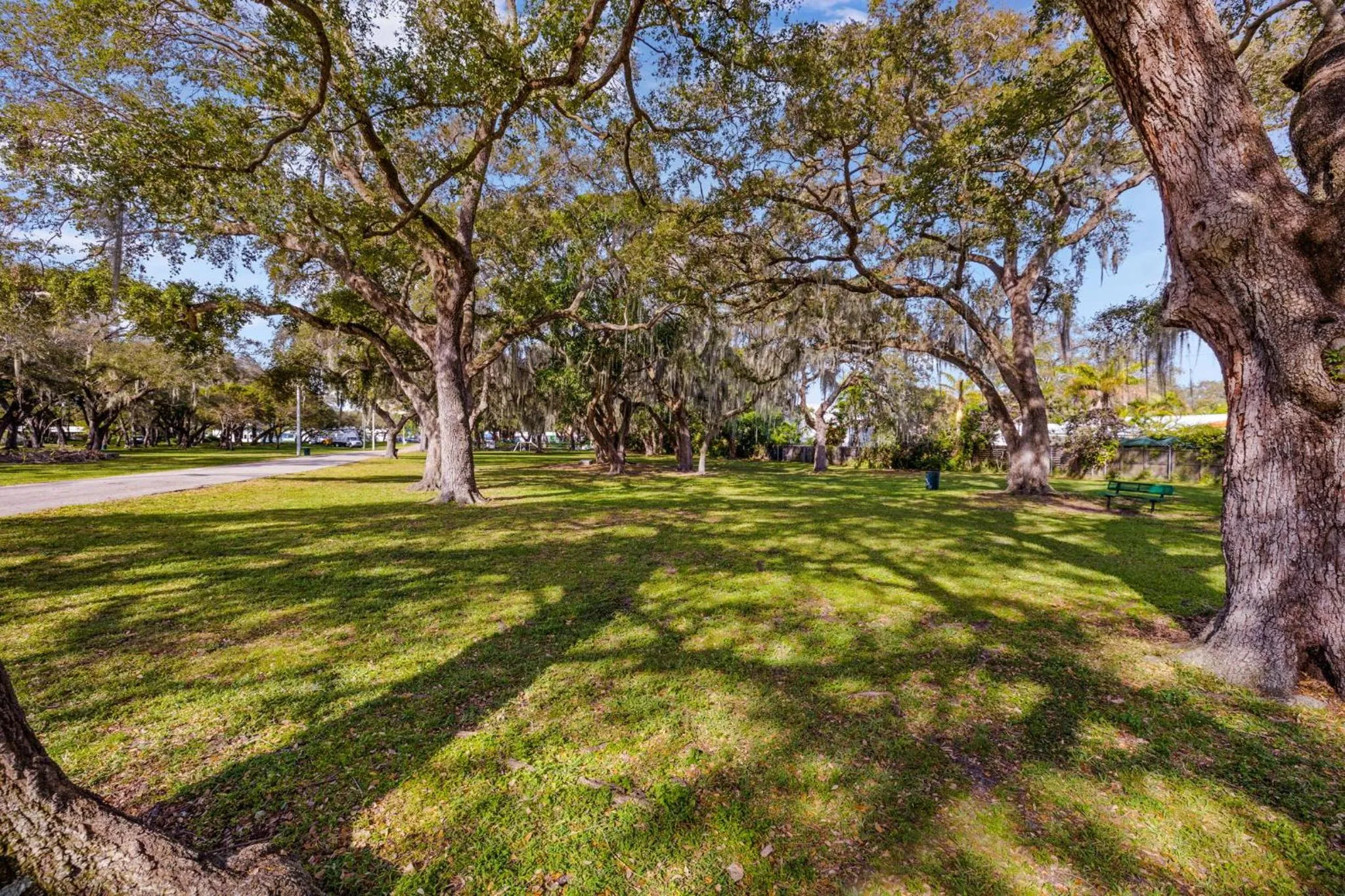 Natural landscape in The New Yorker Hotel Miami