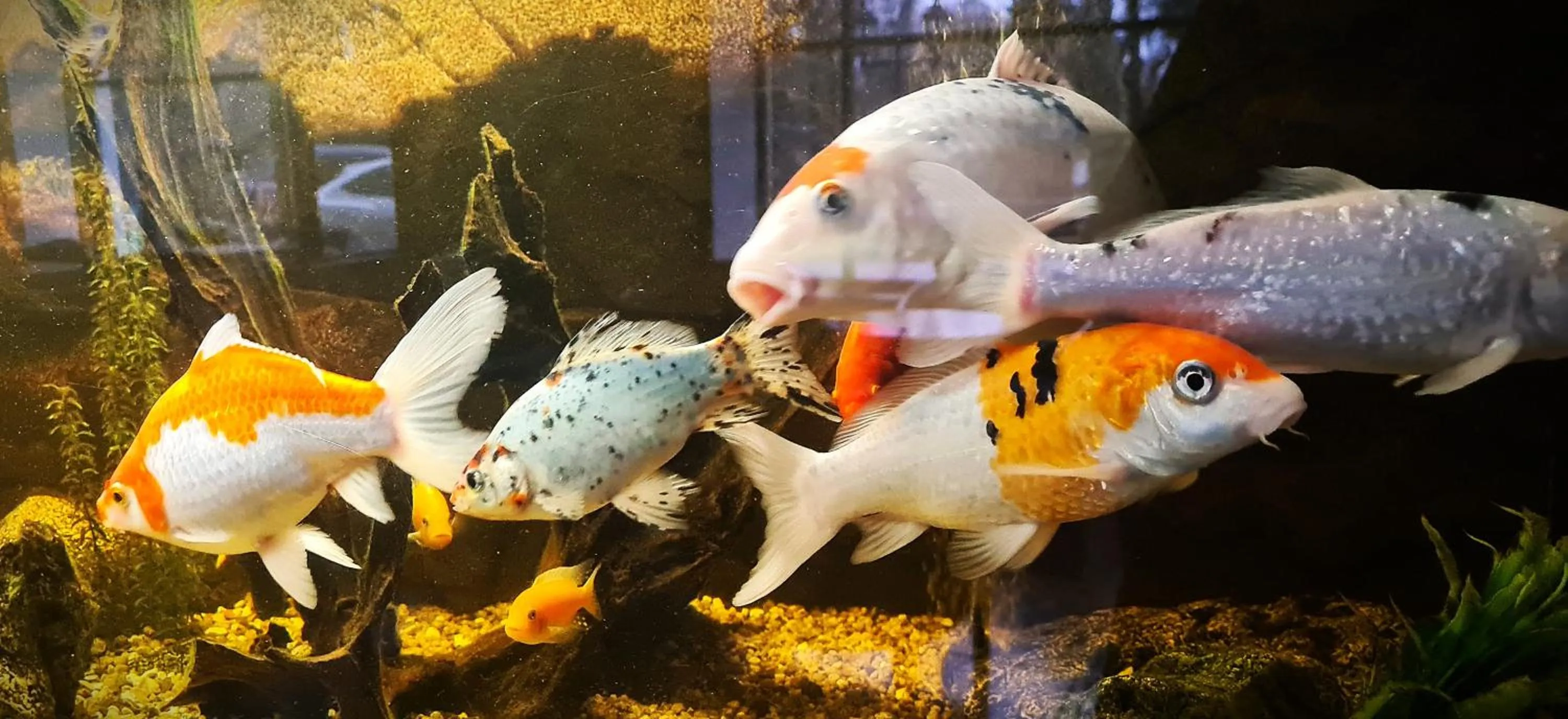 Lobby or reception in Barclay Hotel