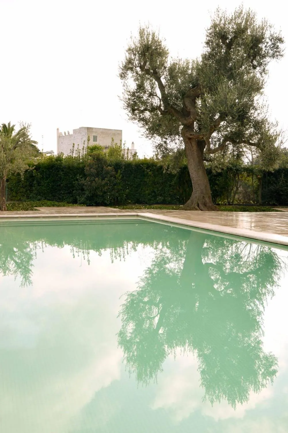 Swimming pool in Masseria Fragnale