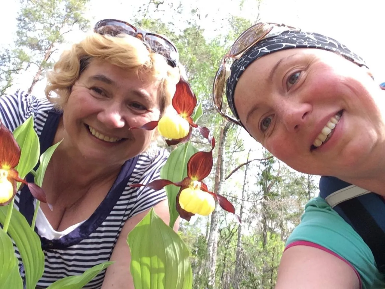 Nearby landmark in Grana Bryggeri