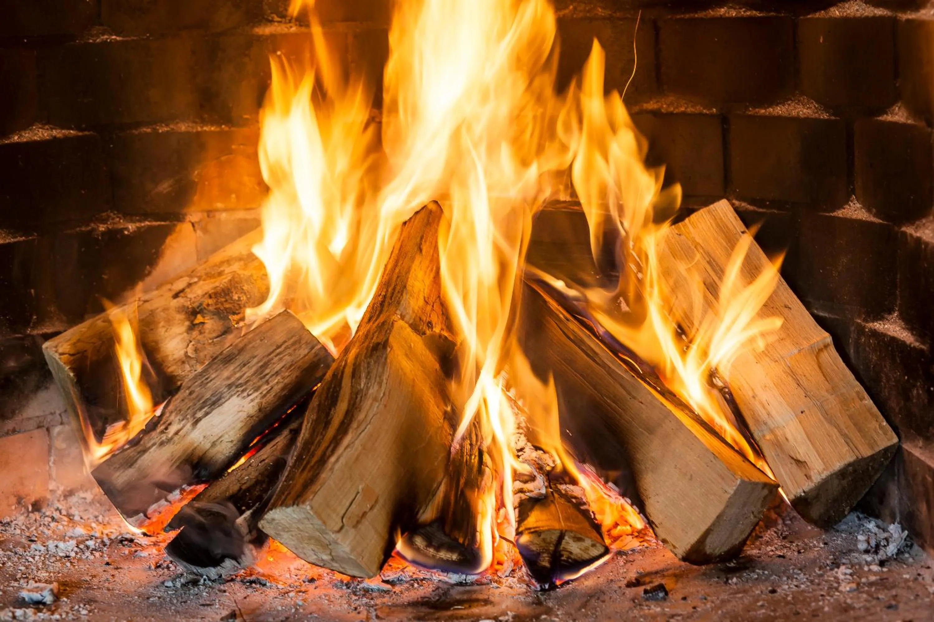 Lounge or bar in Bio- und Gesundheitshotel Gutshaus Stellshagen