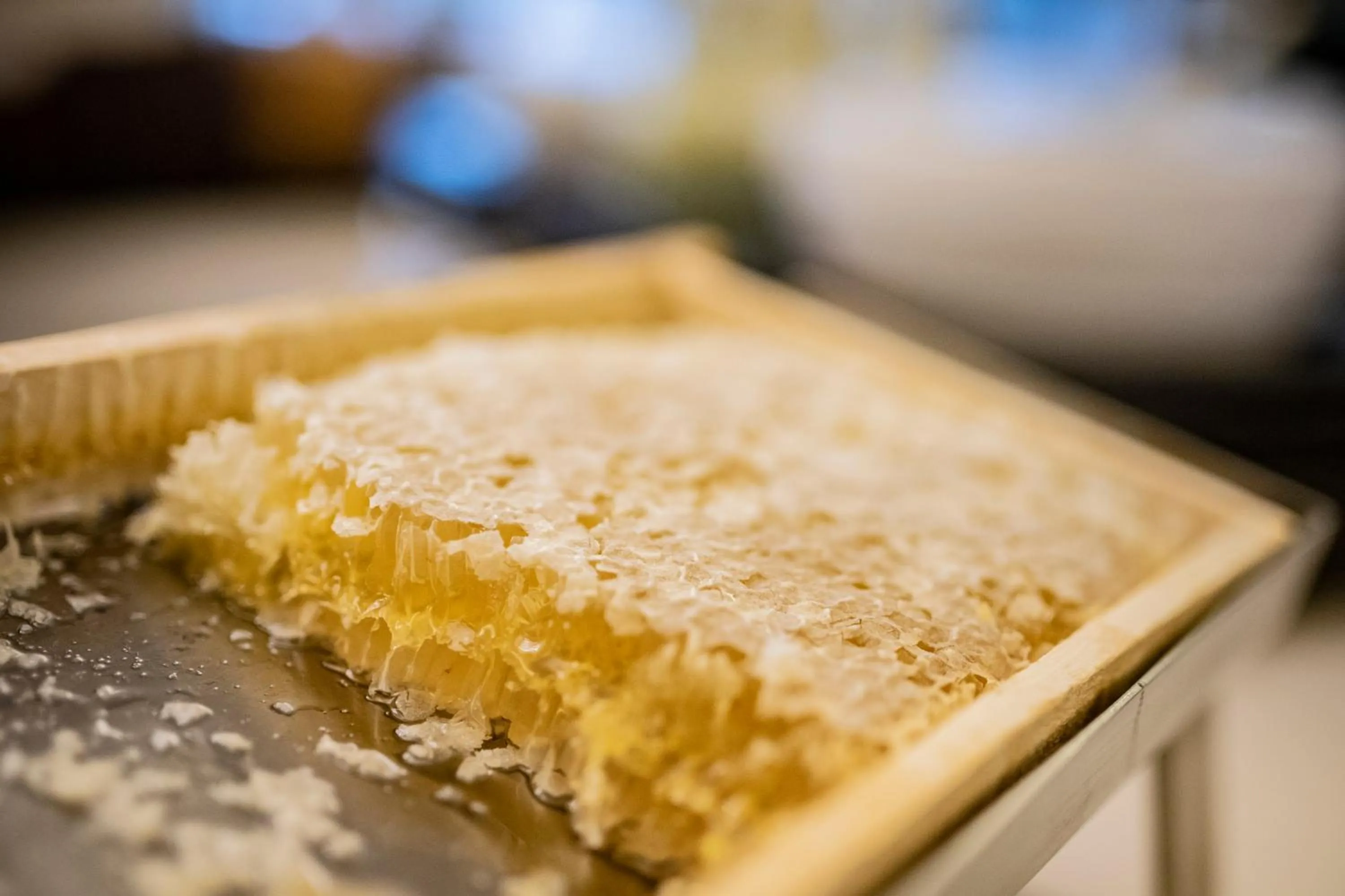 Food in Apart Hotel Legendär