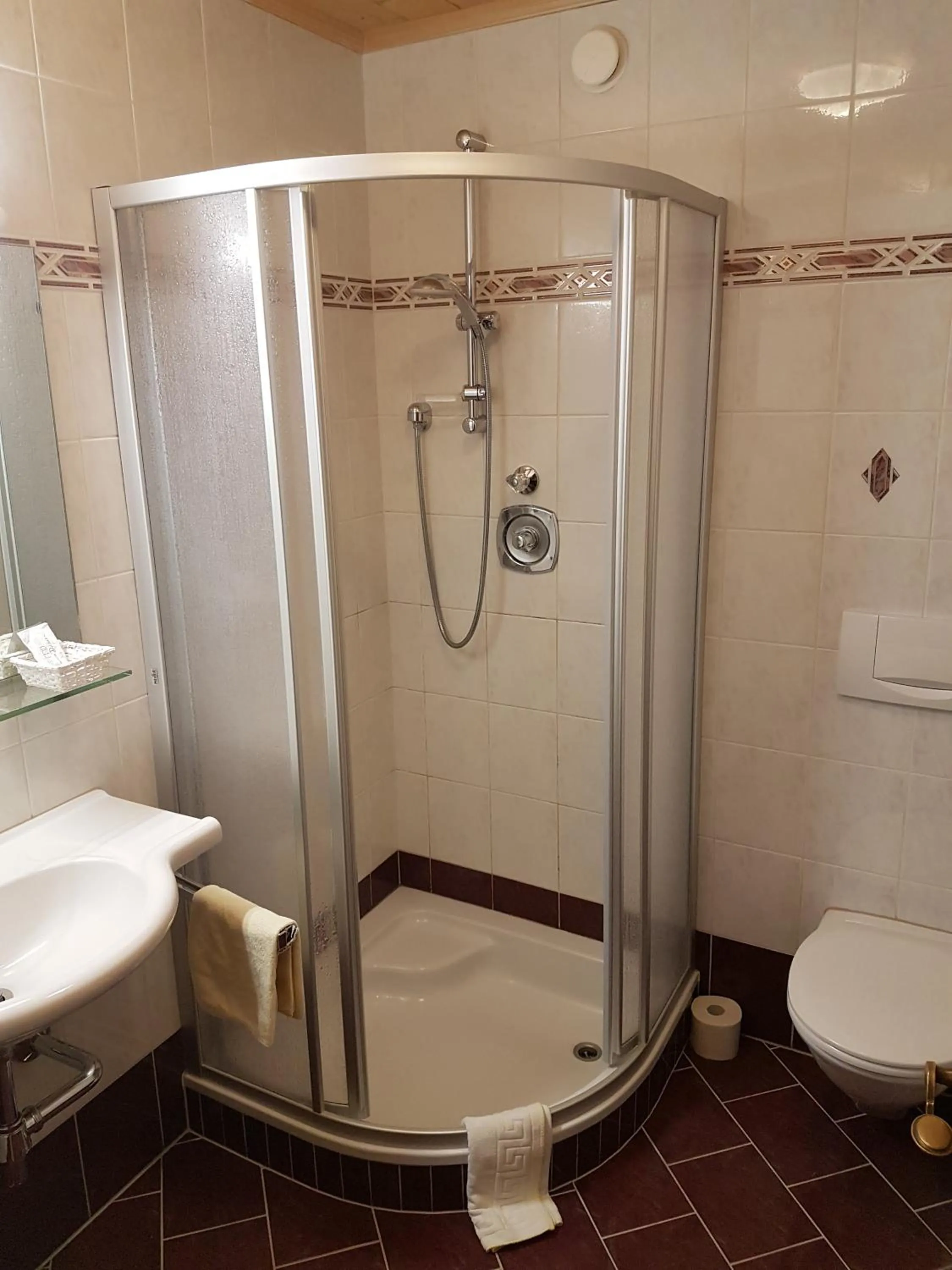 Shower in Aparthotel Hohe Brücke