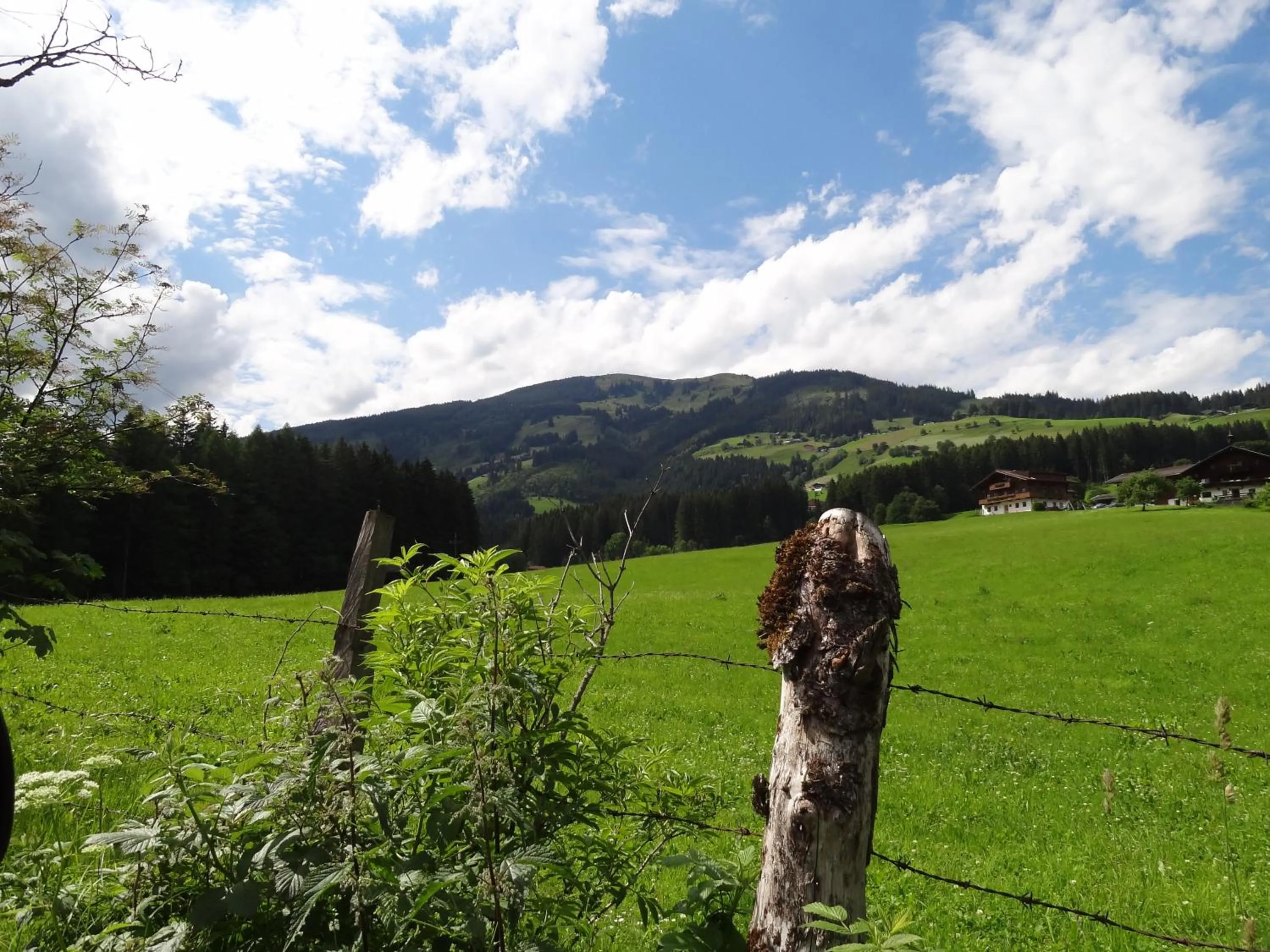 Summer in Aparthotel Hohe Brücke