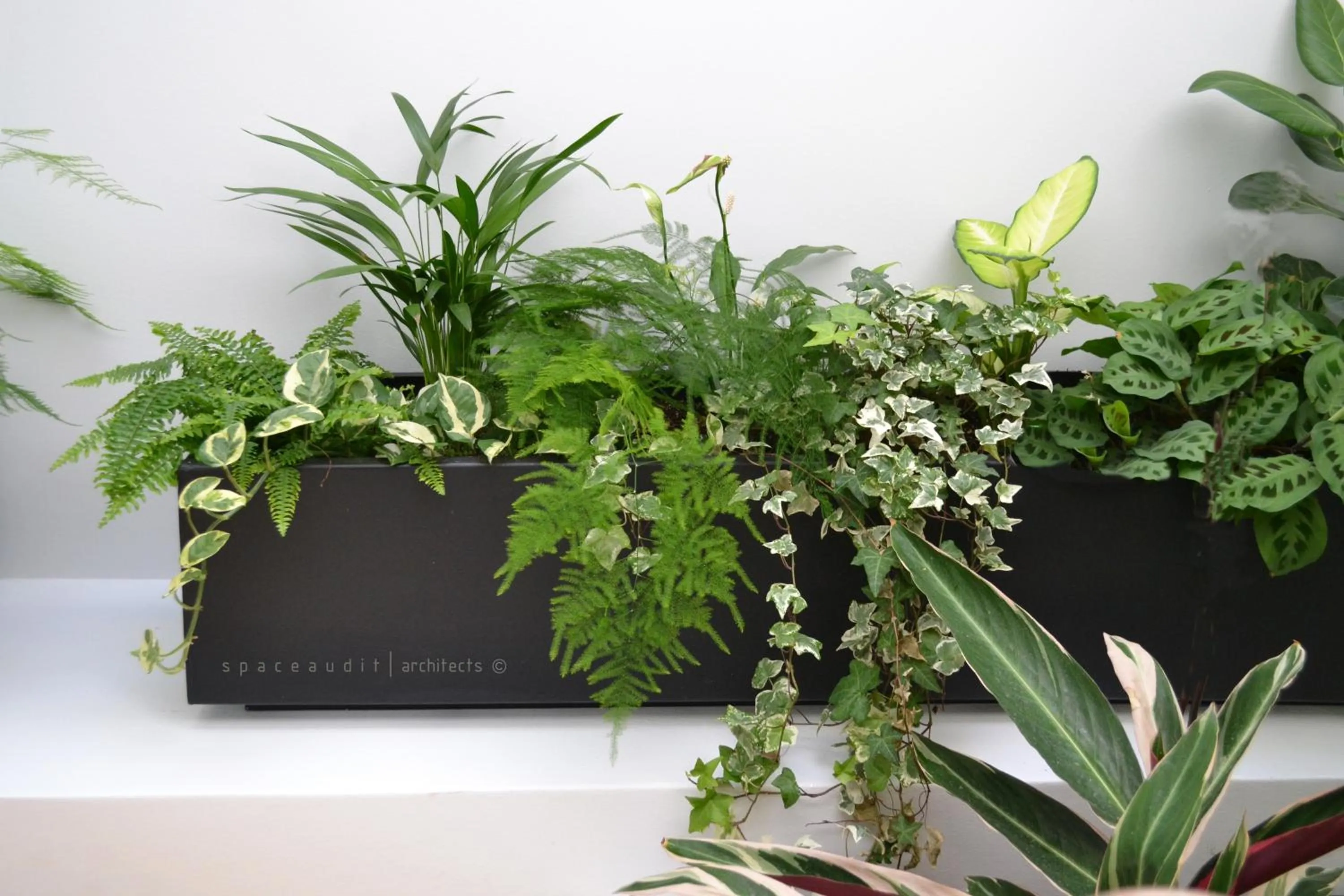 Patio in Sunday Boutique Hotel