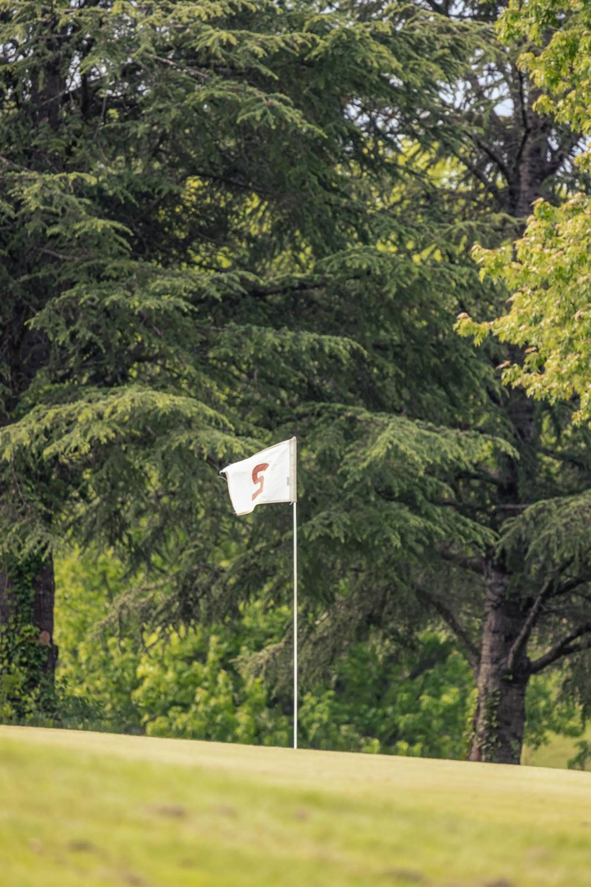 Day in Appart-Hotel Les Palombieres