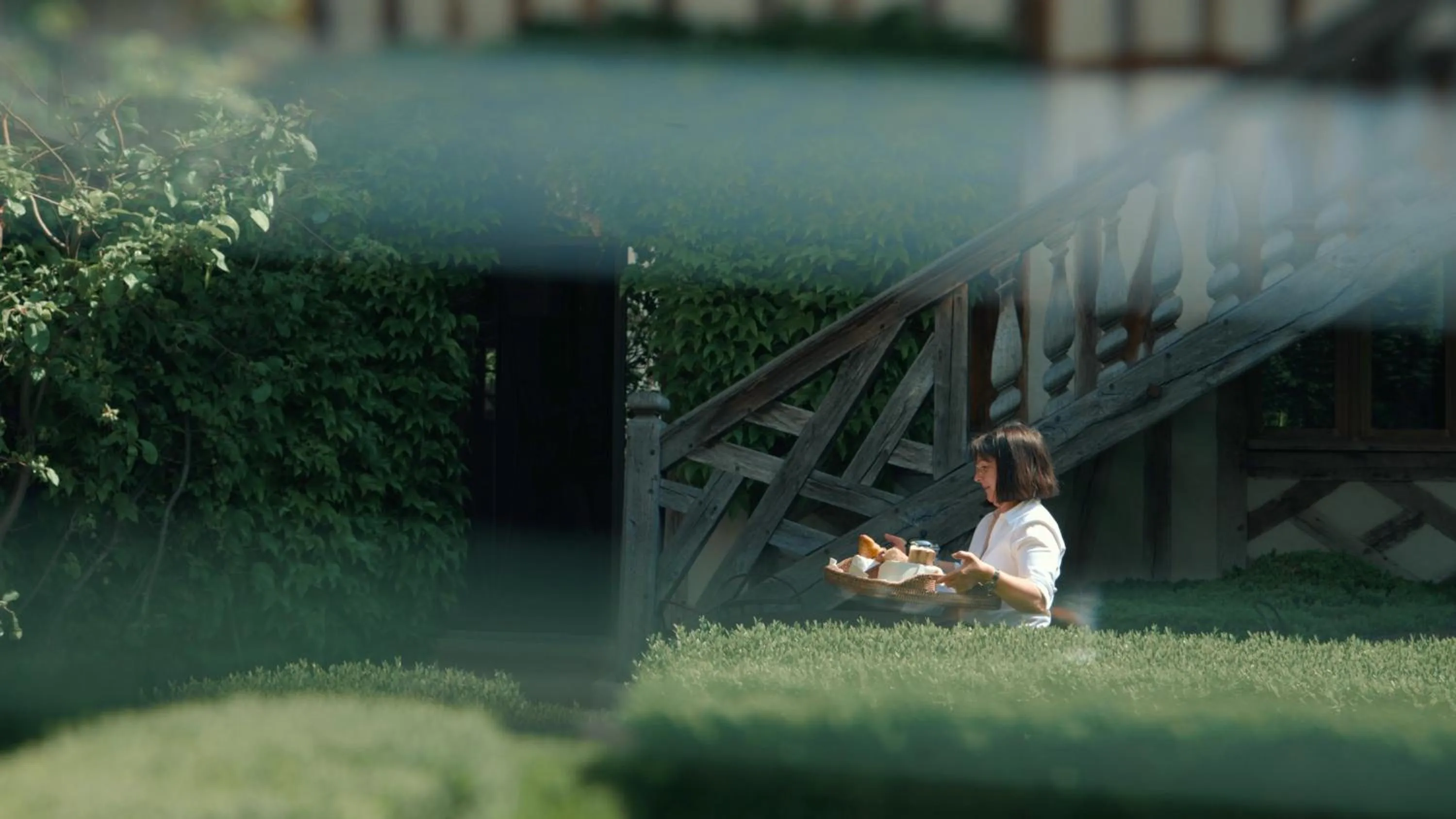 Area and facilities in Le Champ des Oiseaux Hôtel & Spa