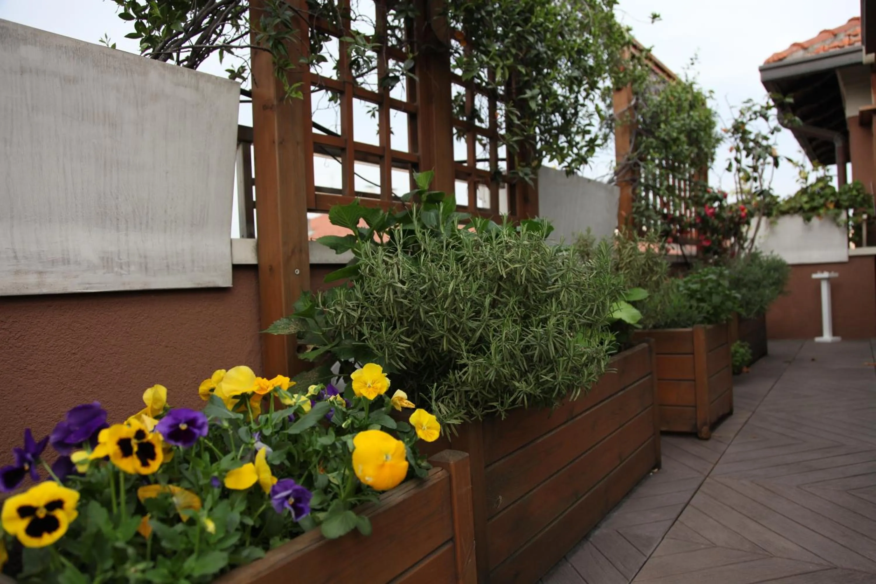 View (from property/room) in Hotel Metrò