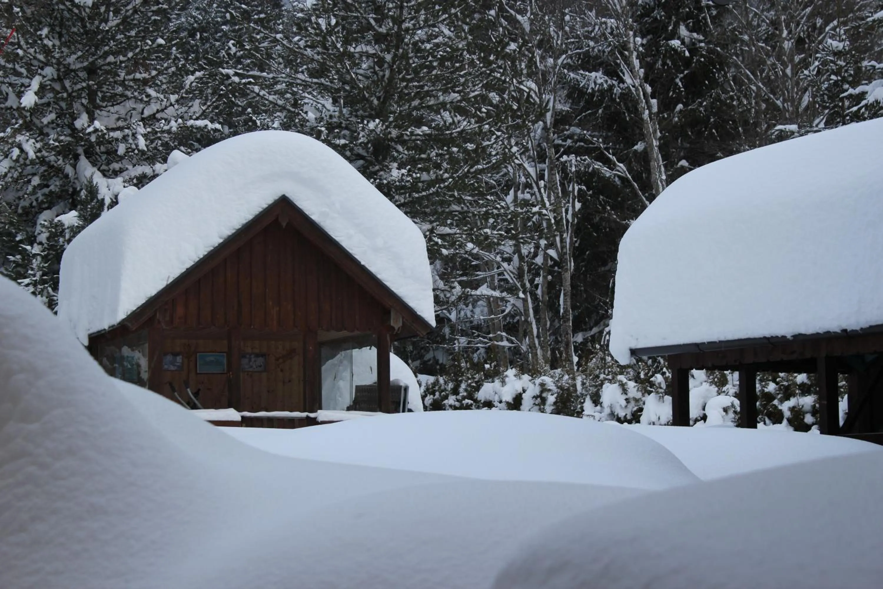 Winter in Familien & Wander-Pension Purkhardt