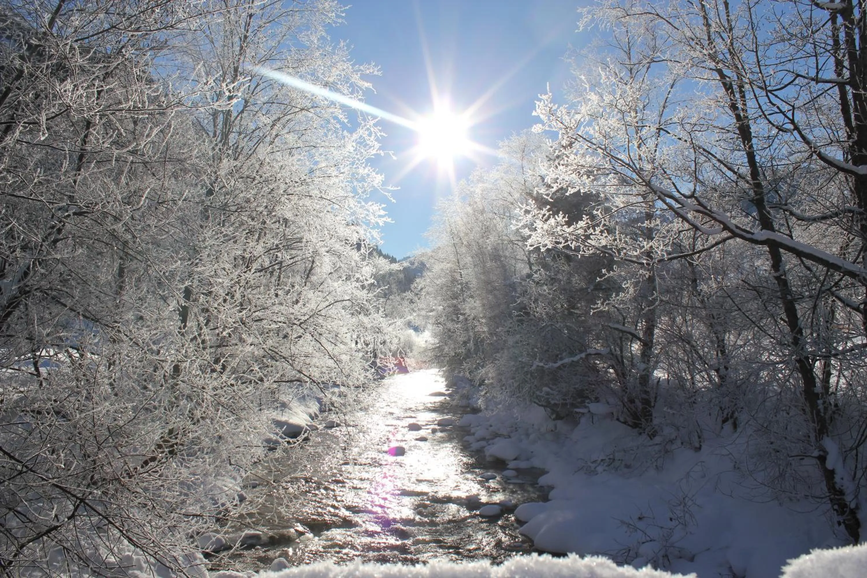 Natural landscape in Familien & Wander-Pension Purkhardt