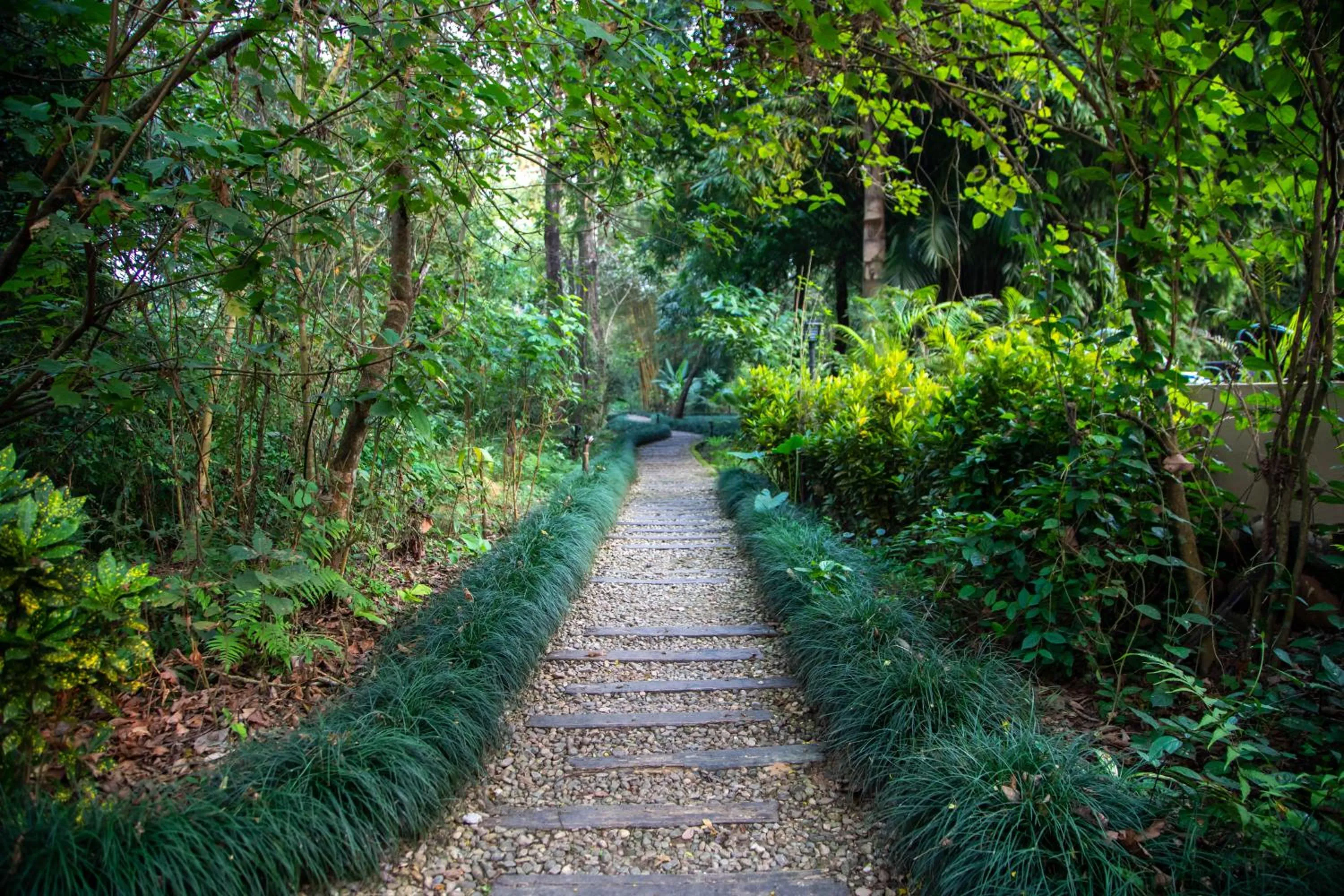 View (from property/room) in Jagatpur Lodge by Annapurna